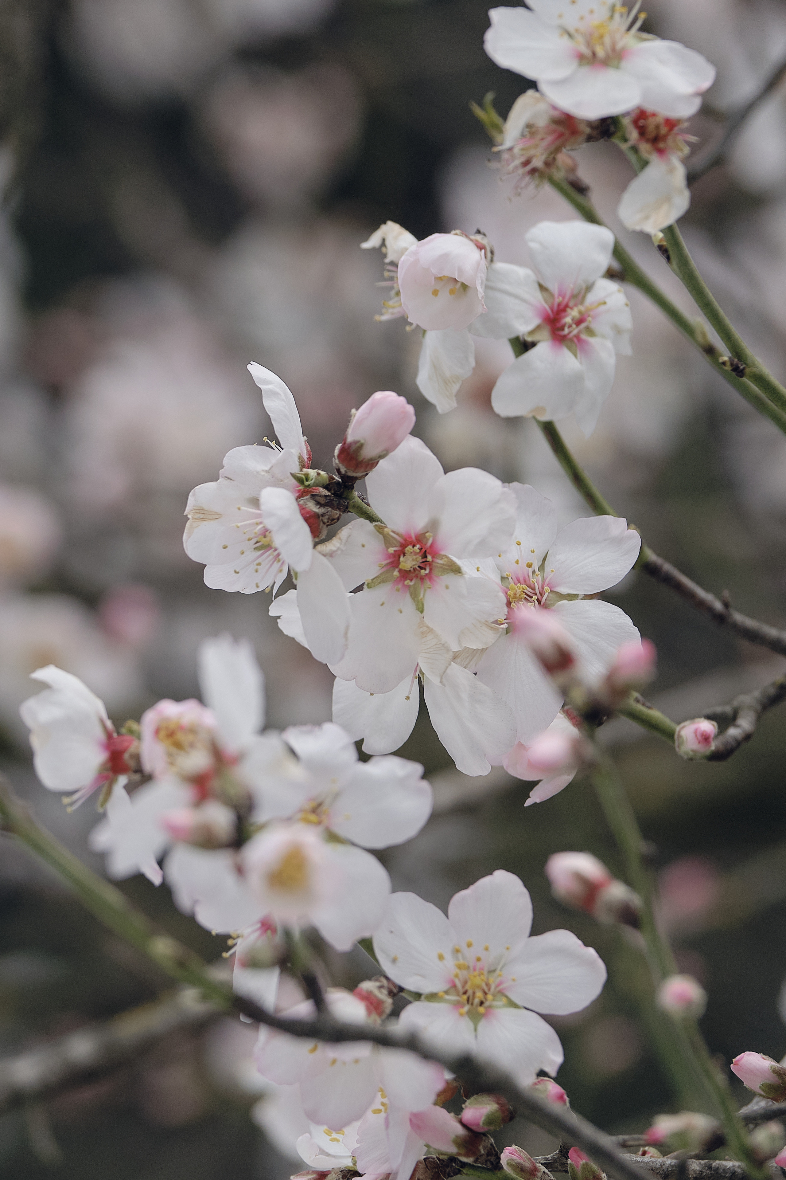Cyprus 2023 / february. Aleksandr Kobtsev