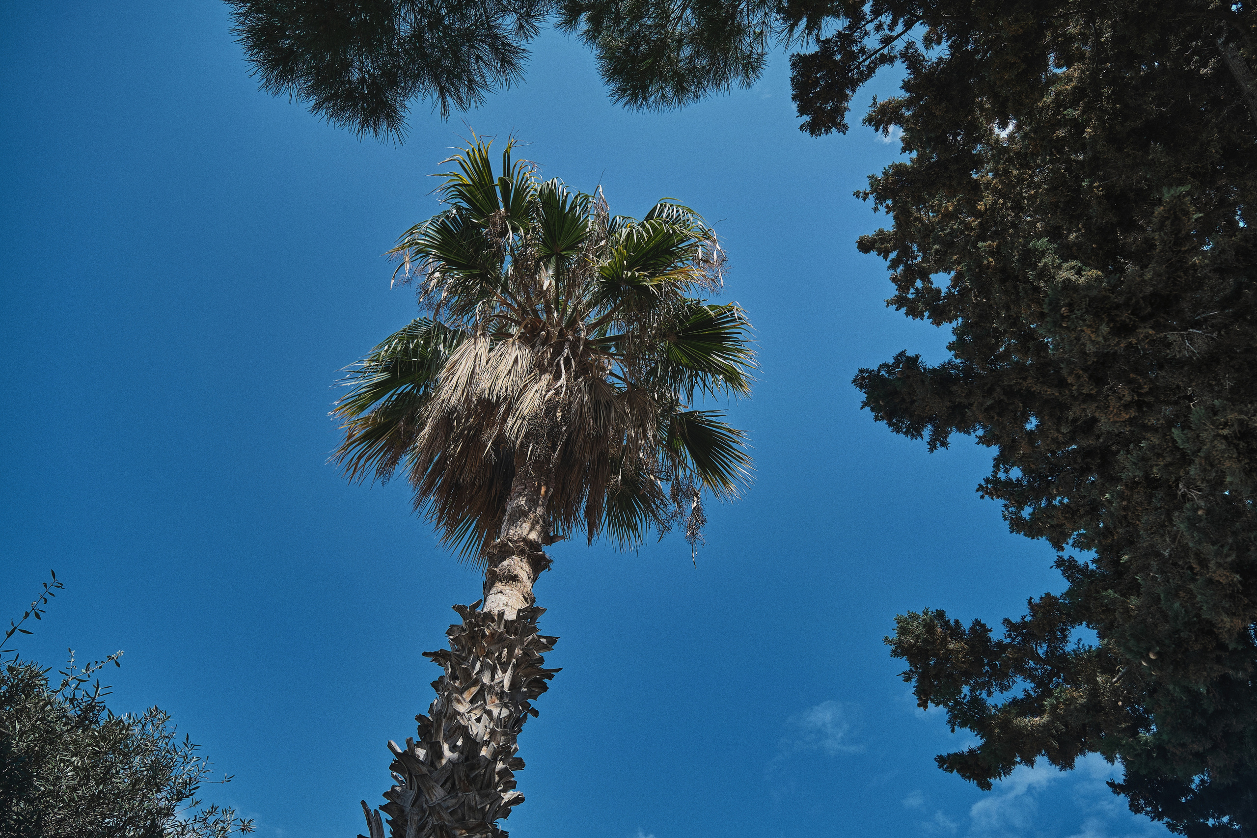 Cyprus 2023 / march. Aleksandr Kobtsev