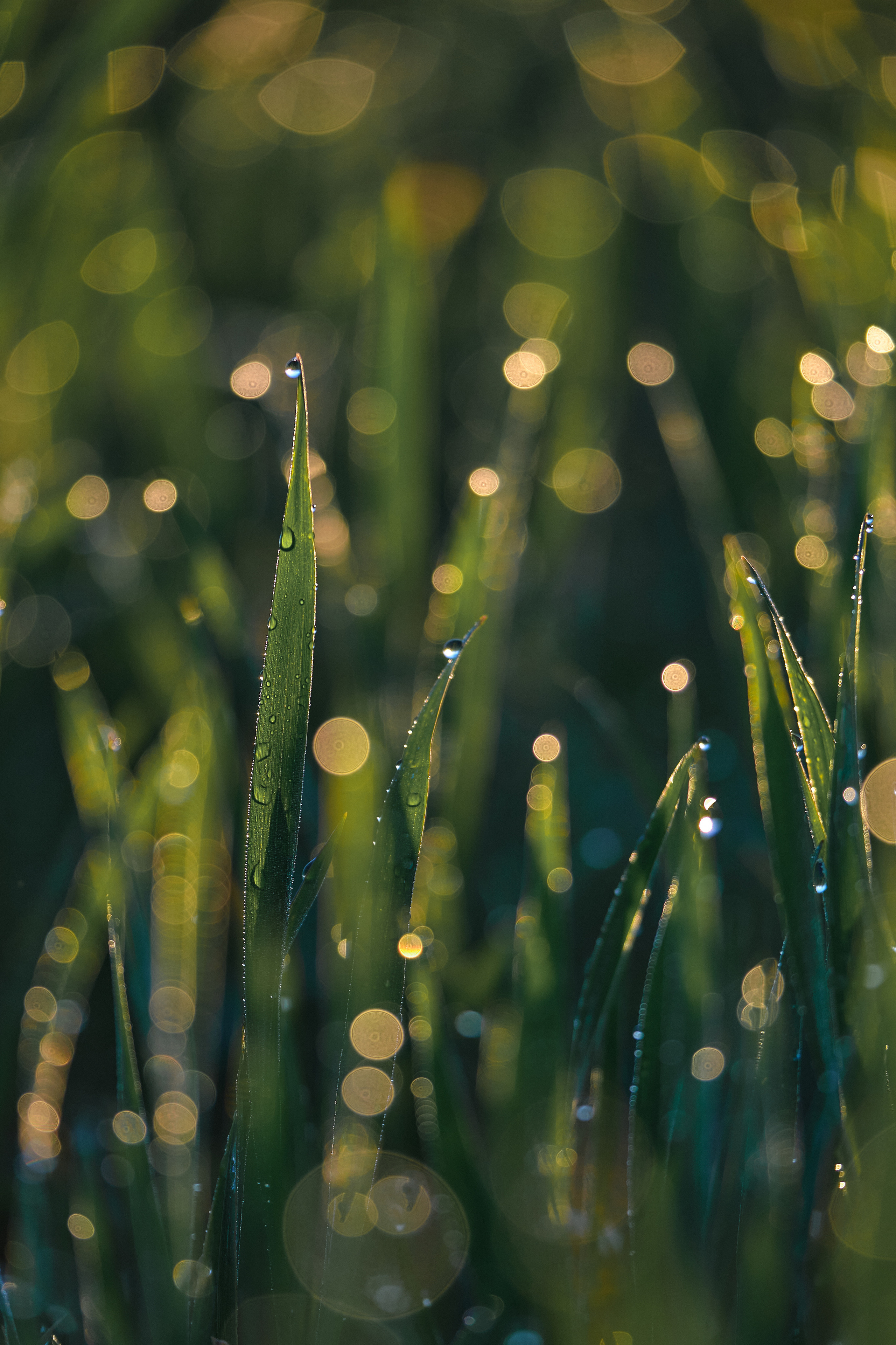 Cyprus 2023 / february. Aleksandr Kobtsev