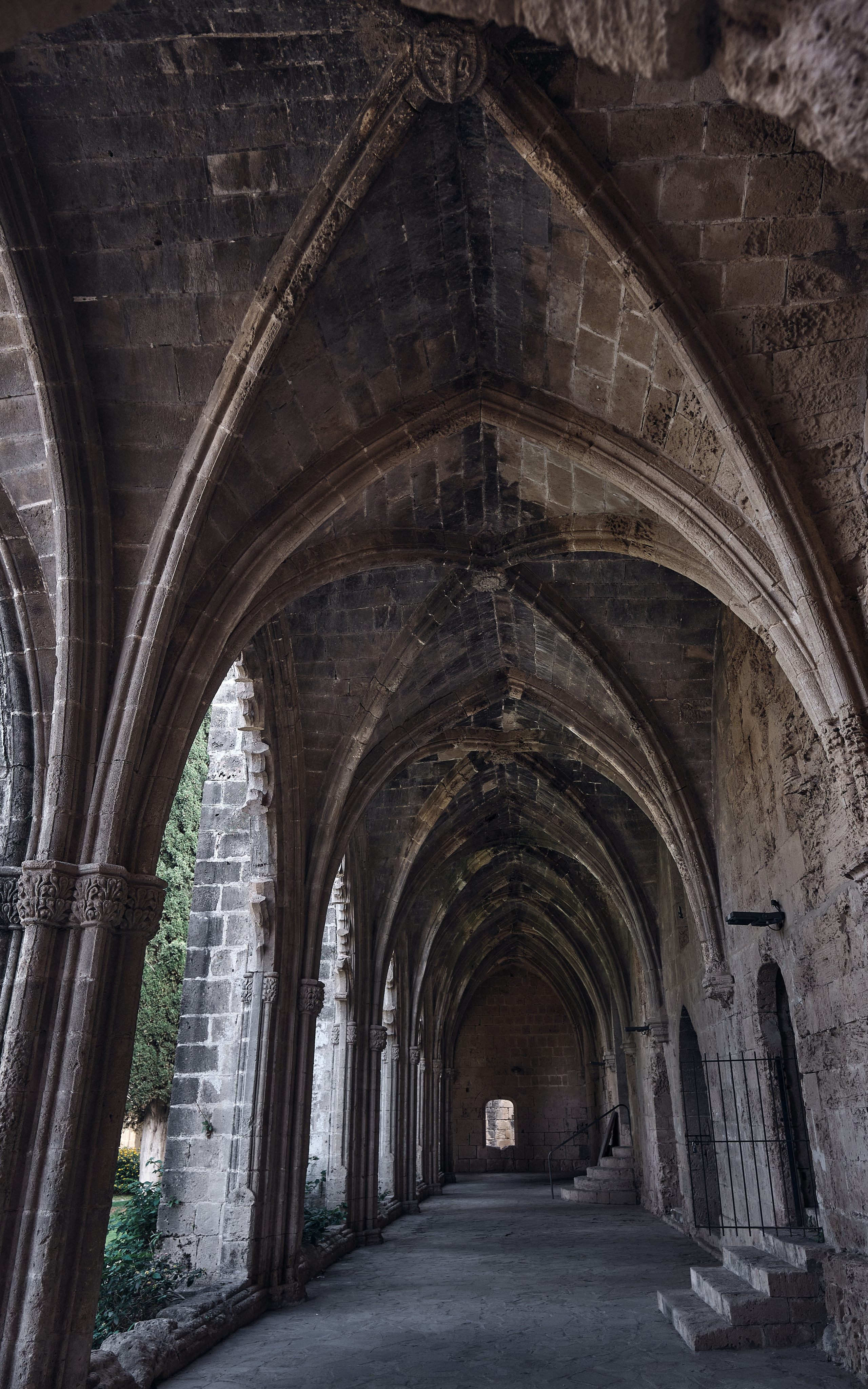 Northern Cyprus >2022. Aleksandr Kobtsev