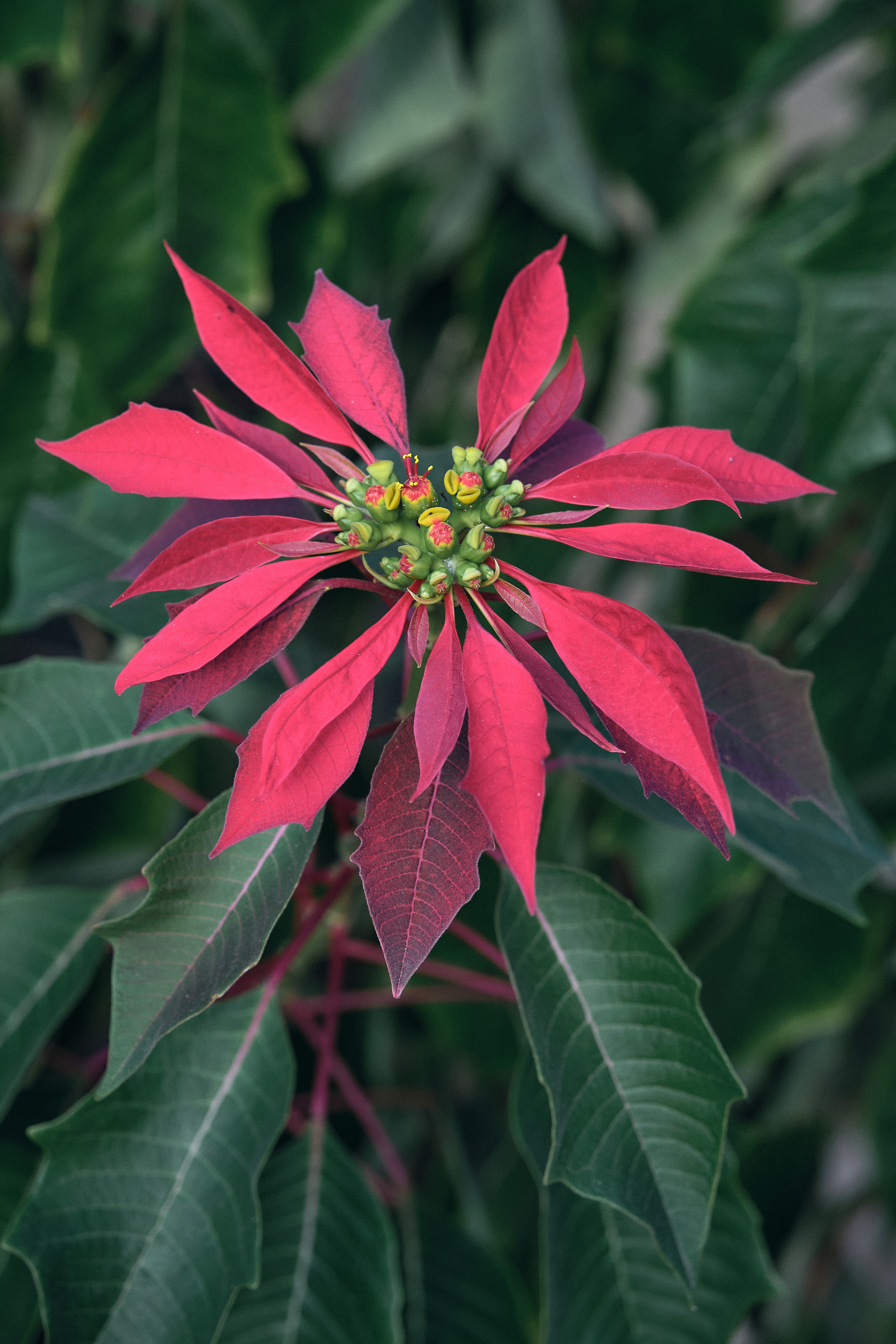 Northern Cyprus >2022. Aleksandr Kobtsev