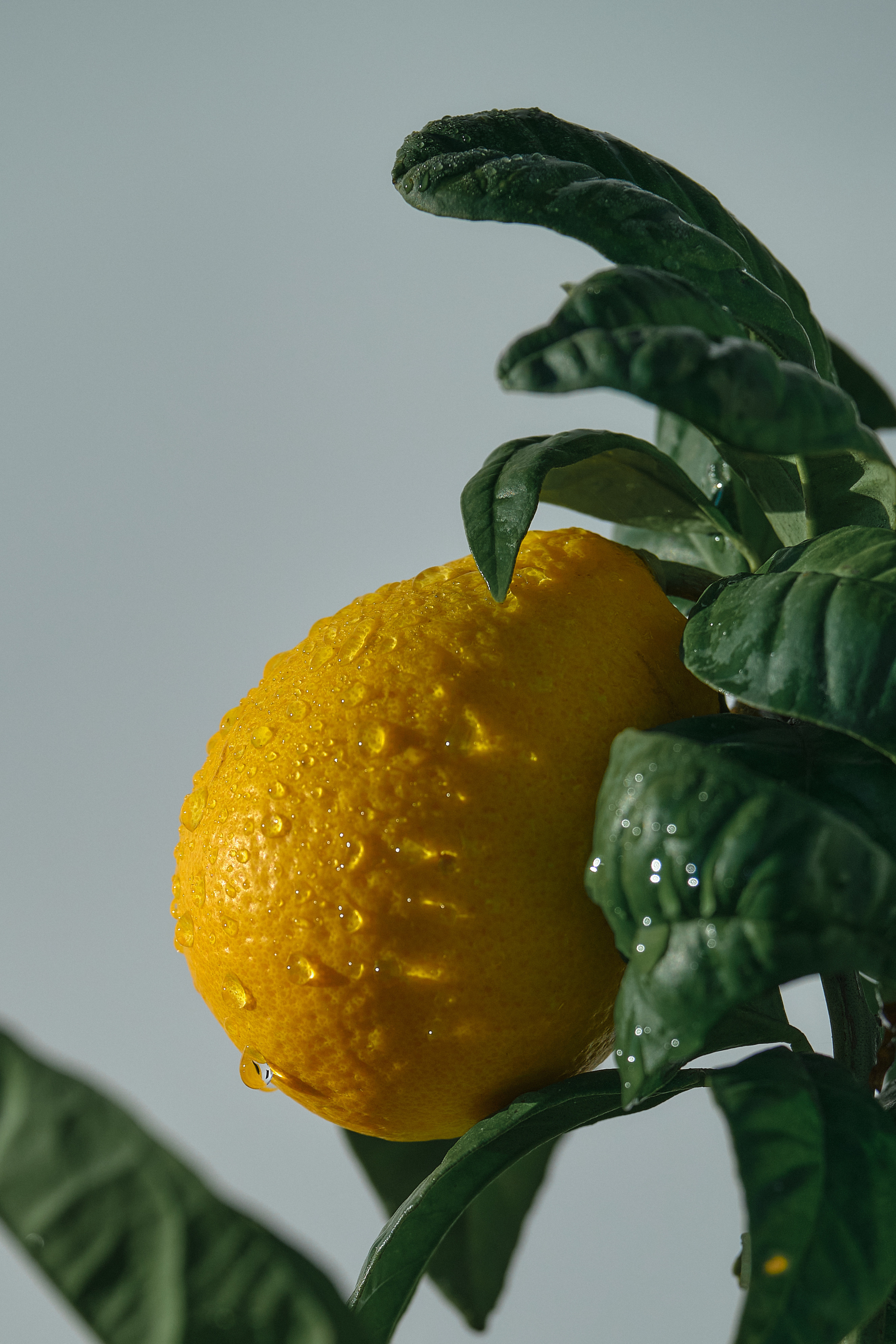 Cyprus 2023 / february. Aleksandr Kobtsev