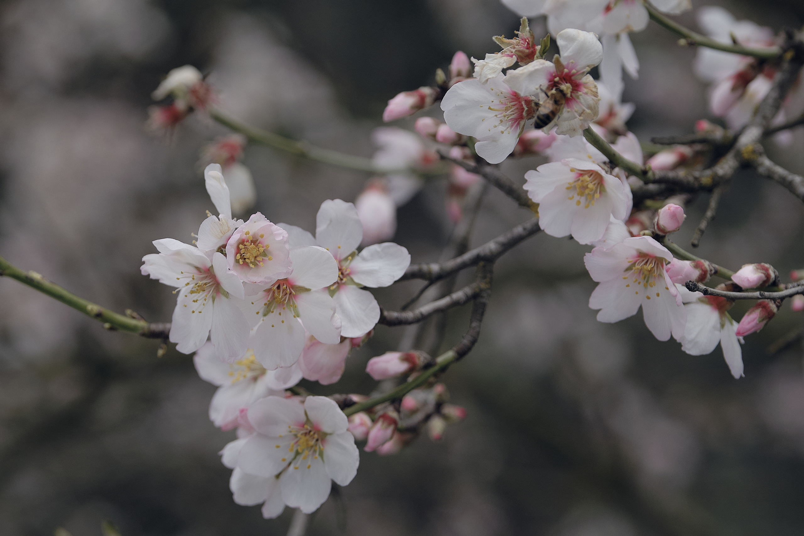 Cyprus 2023 / february. Aleksandr Kobtsev