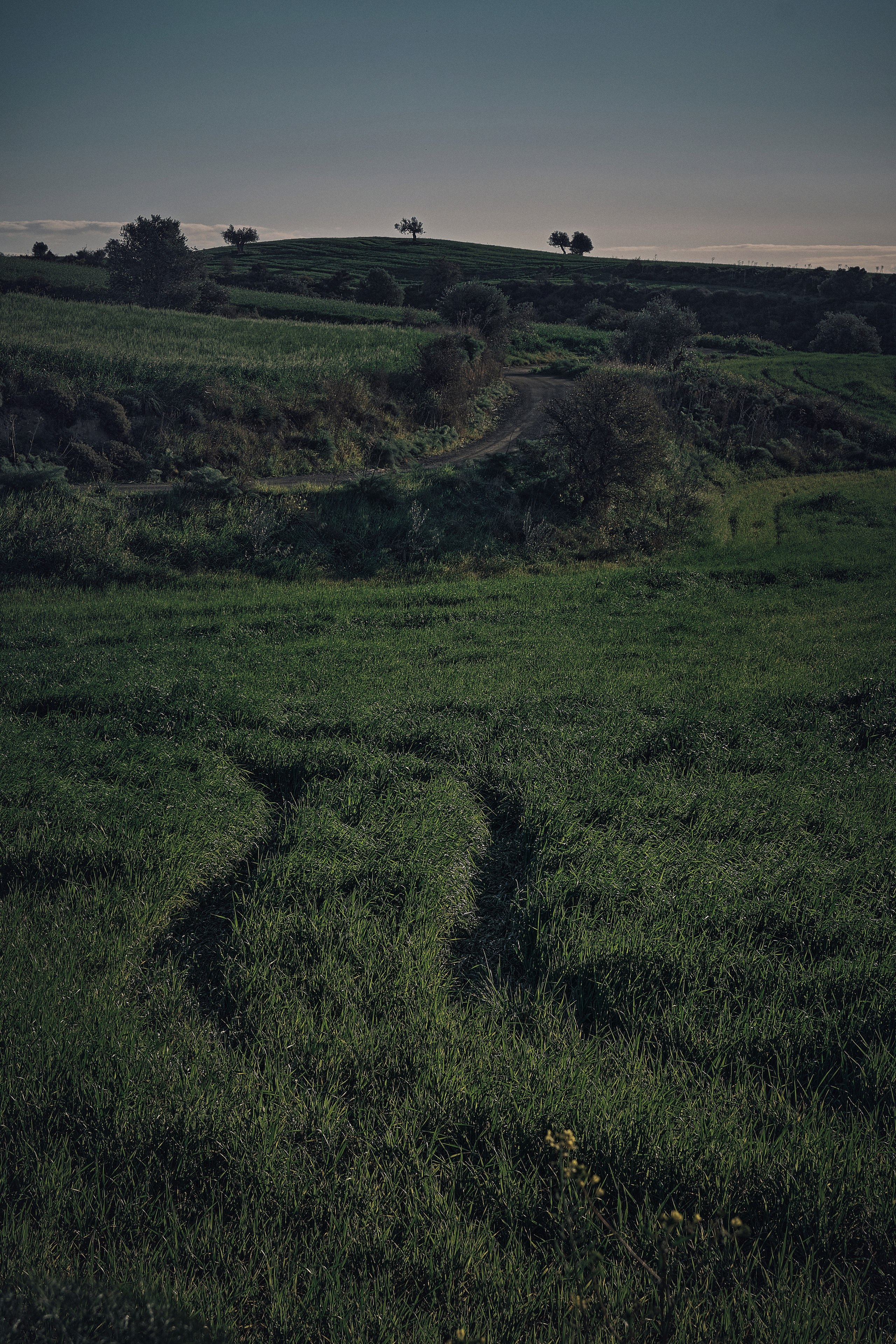 Cyprus 2023 / february. Aleksandr Kobtsev