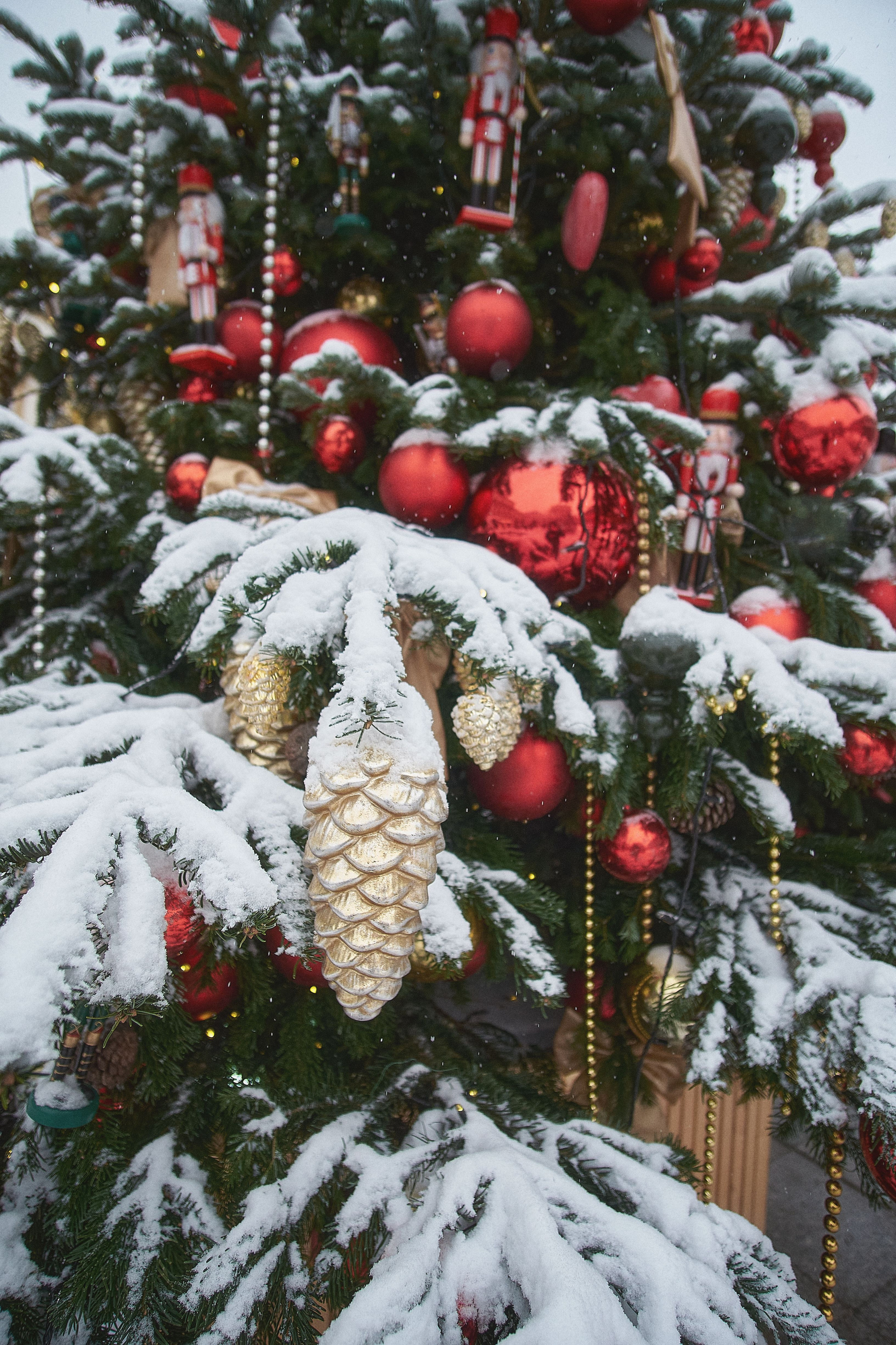 Winter 22/23. Aleksandr Kobtsev