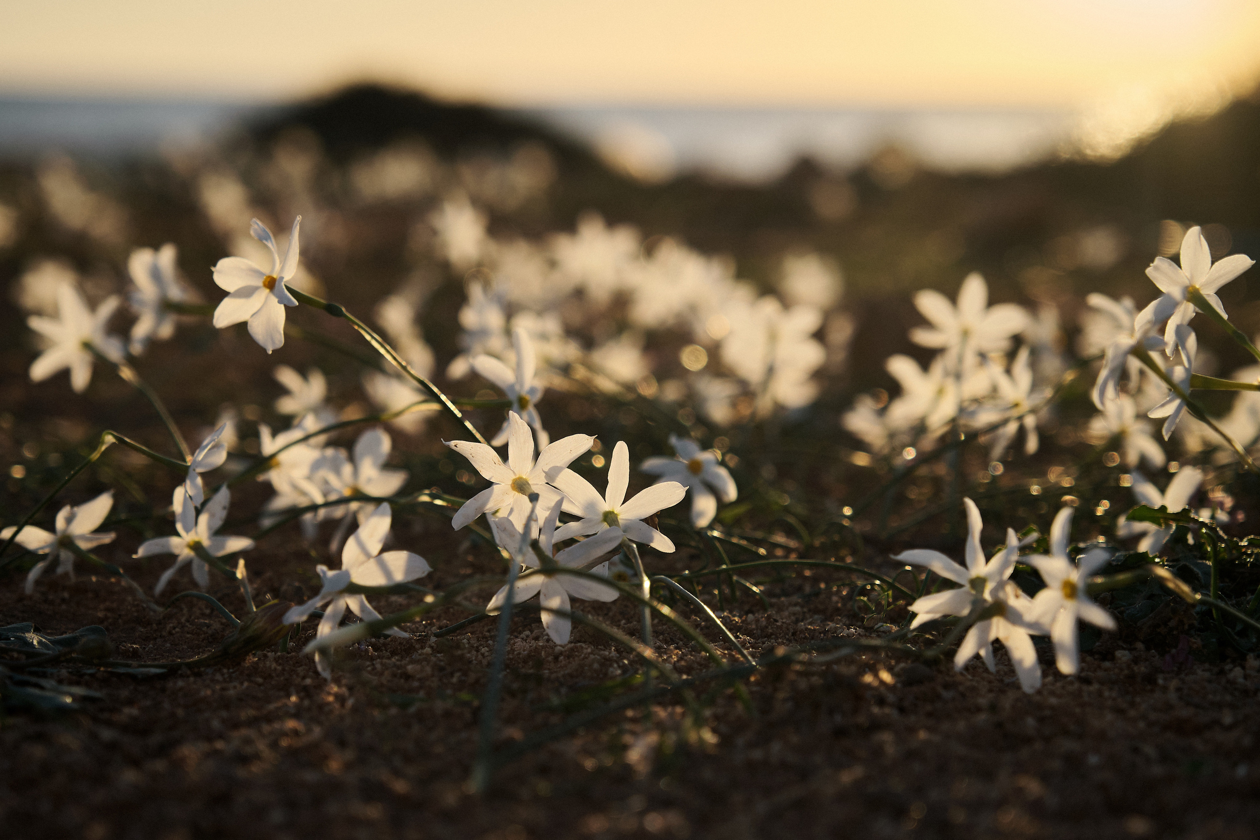Northern Cyprus >2022. Aleksandr Kobtsev
