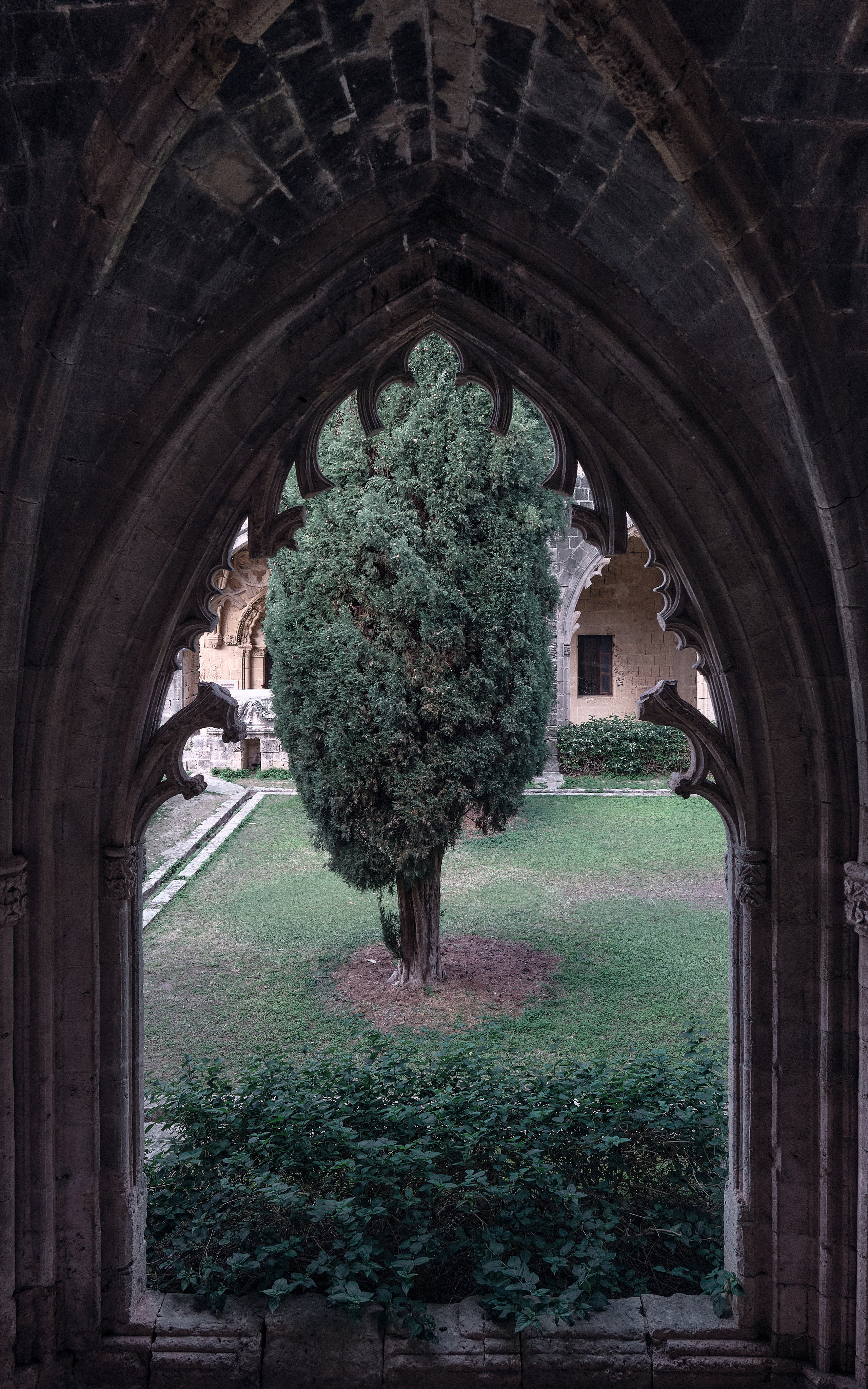 Northern Cyprus >2022. Aleksandr Kobtsev