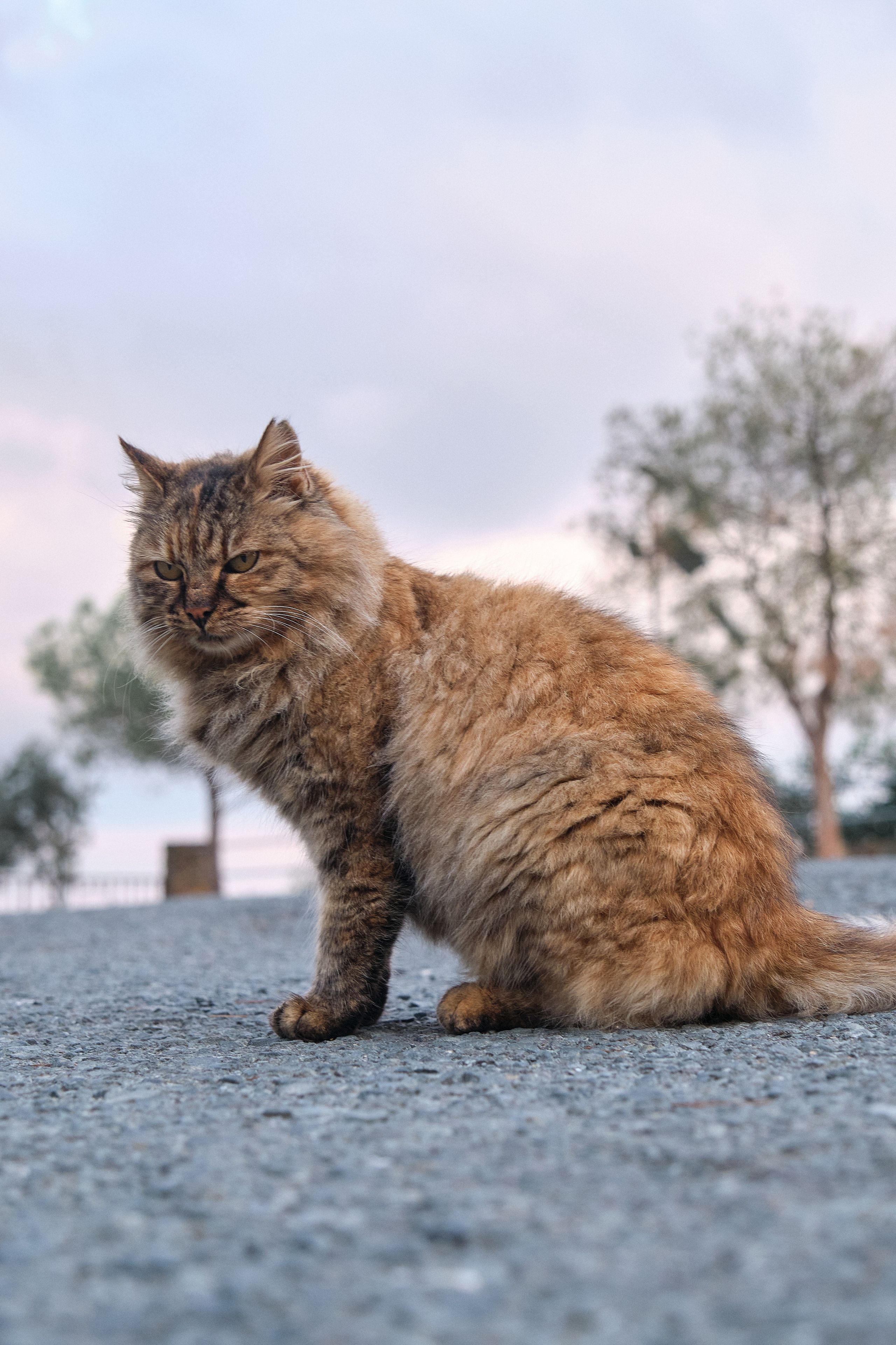 CYPRUS> > > > 2022\4. Aleksandr Kobtsev