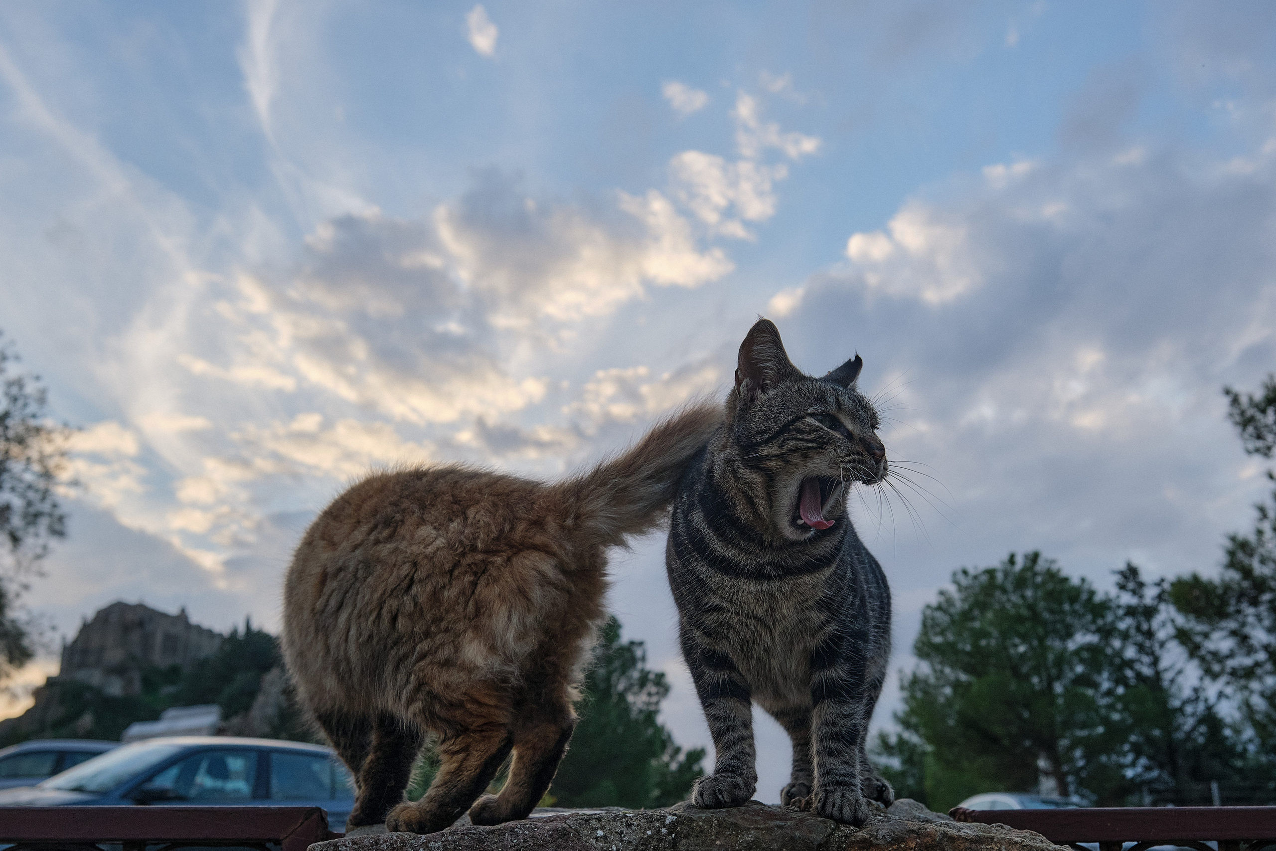 CYPRUS> > > > 2022\4. Aleksandr Kobtsev