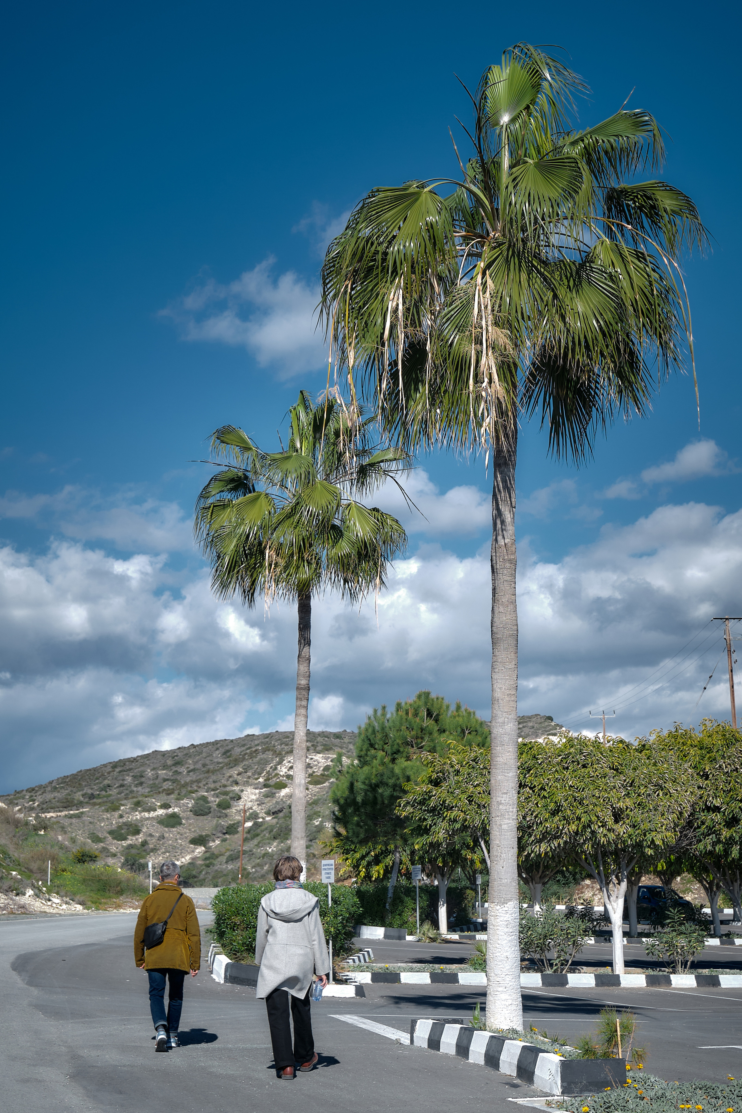 Cyprus 2023 / february. Aleksandr Kobtsev