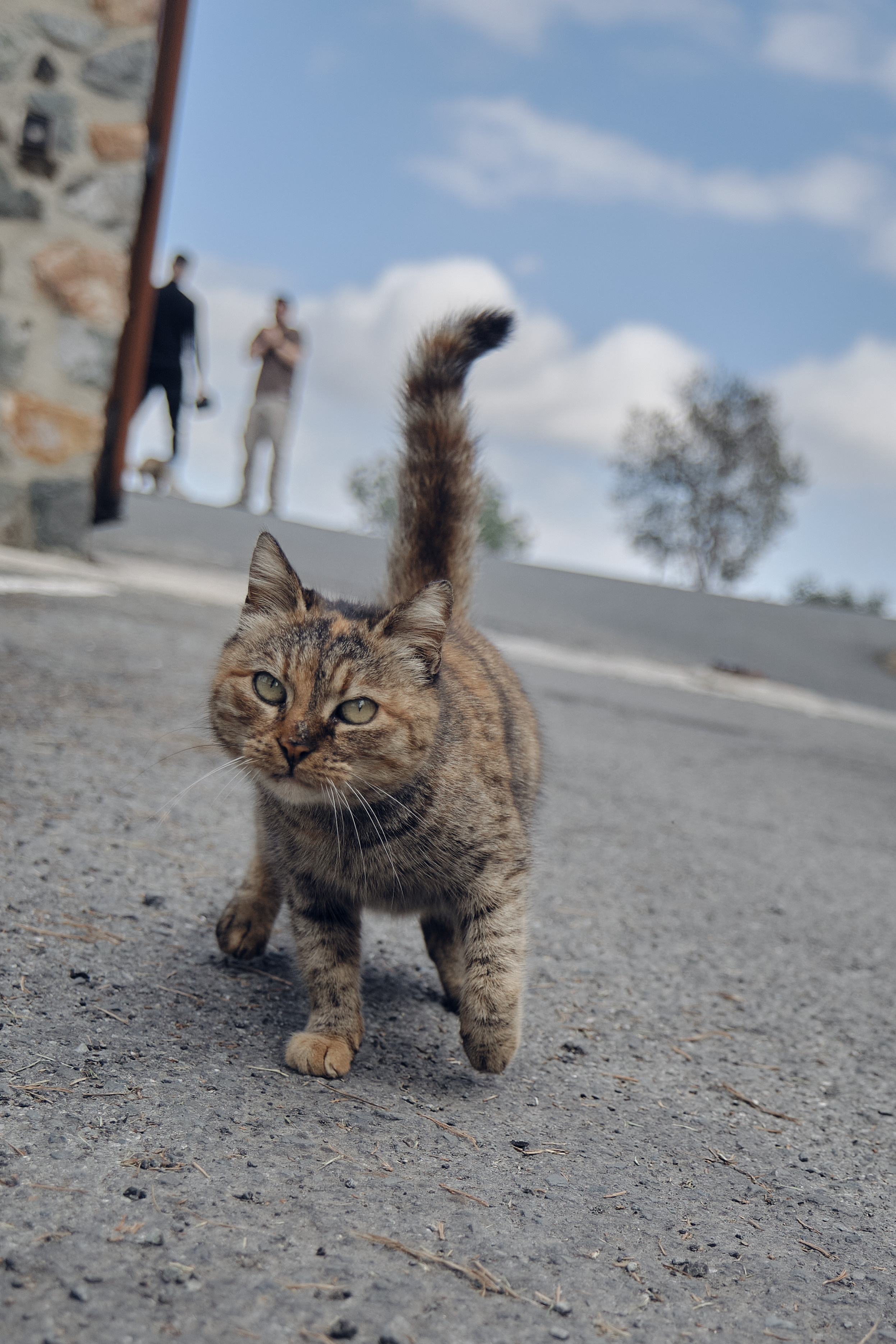 Cyprus 2023 / february. Aleksandr Kobtsev