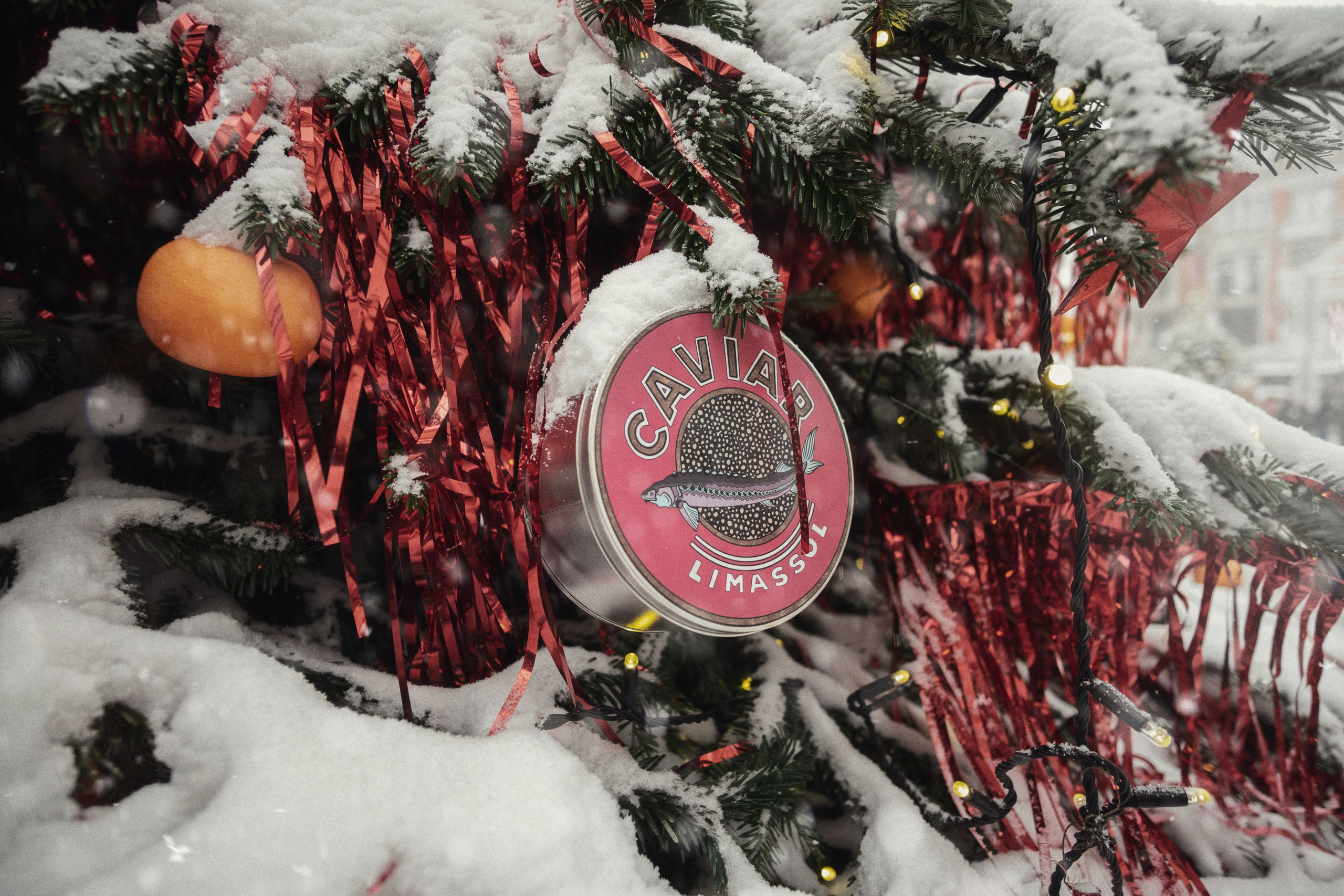 Winter 22/23. Aleksandr Kobtsev