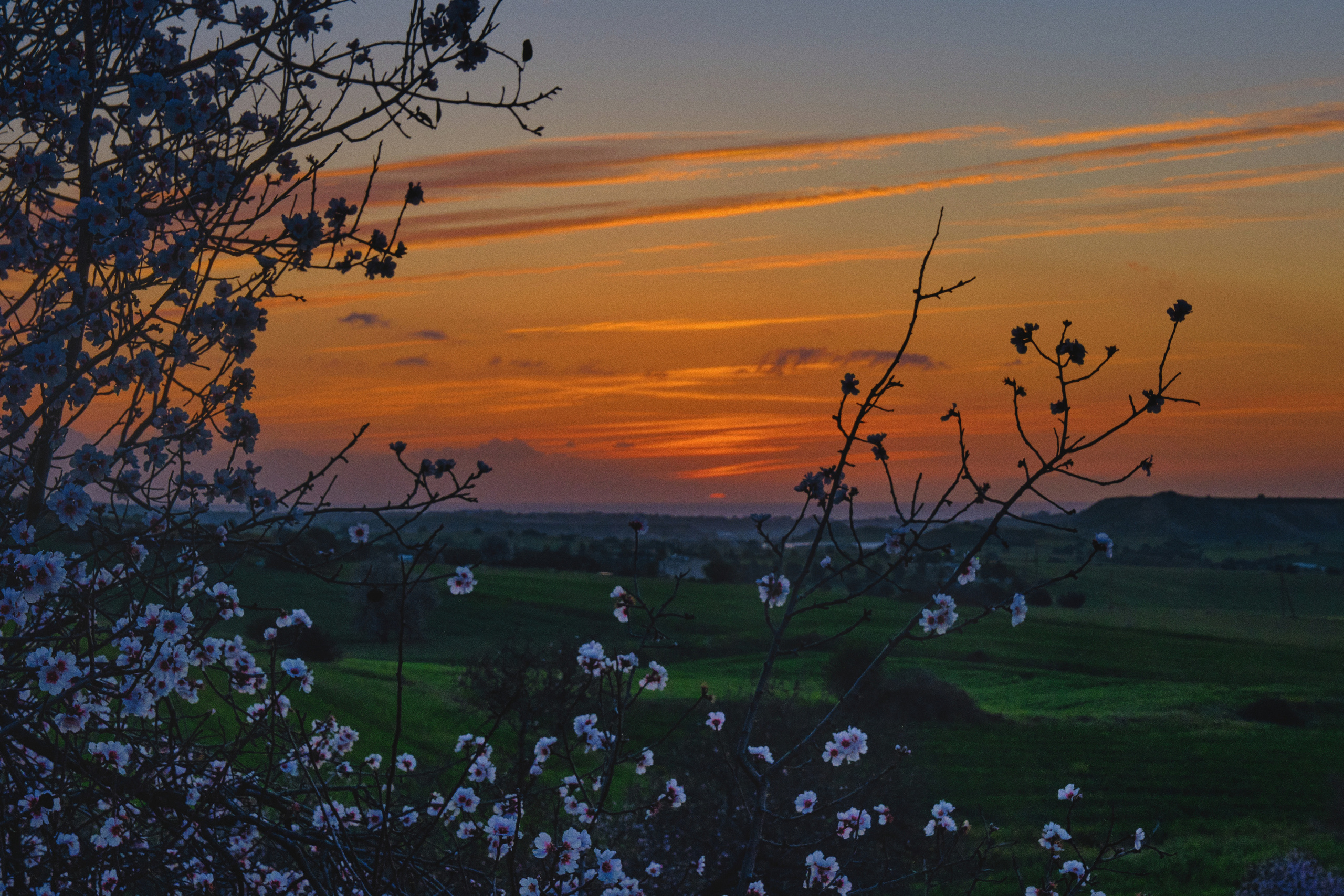 Cyprus 2023 / march. Aleksandr Kobtsev