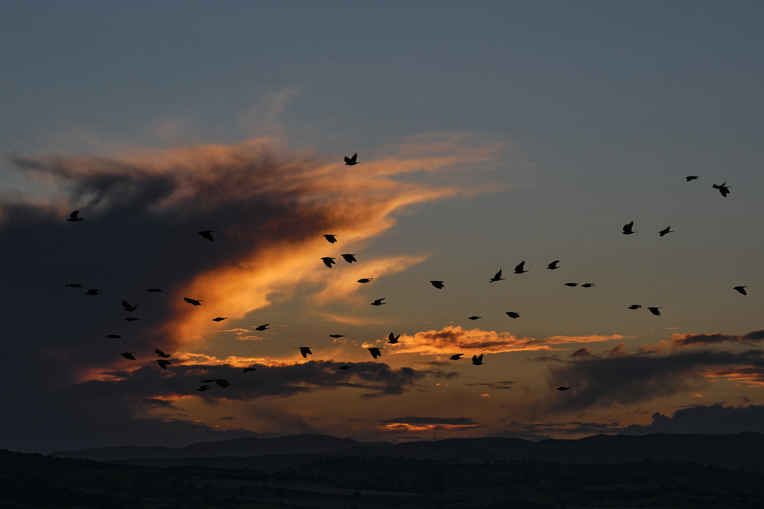 Cyprus 2023 / march. Aleksandr Kobtsev