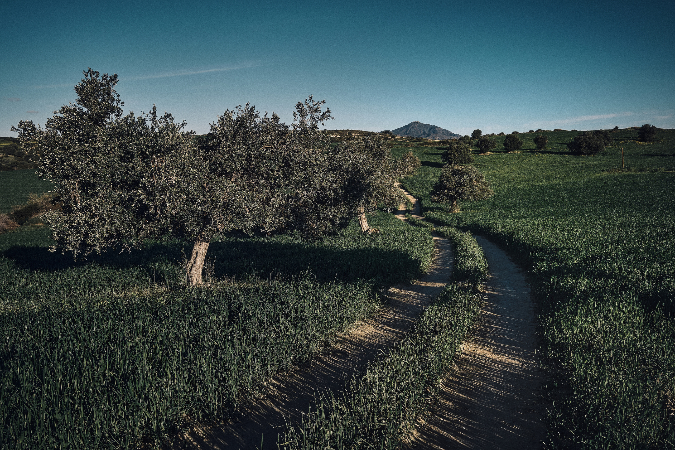 Cyprus 2023 / february. Aleksandr Kobtsev