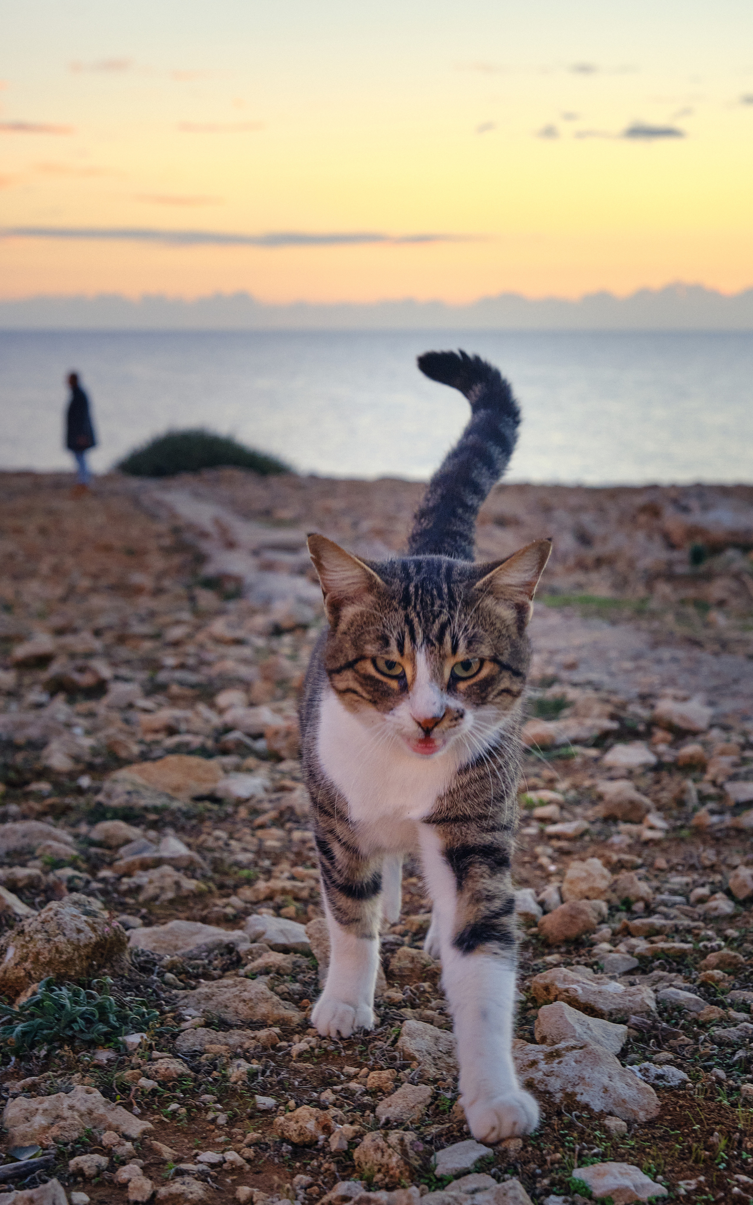 Northern Cyprus >2022. Aleksandr Kobtsev