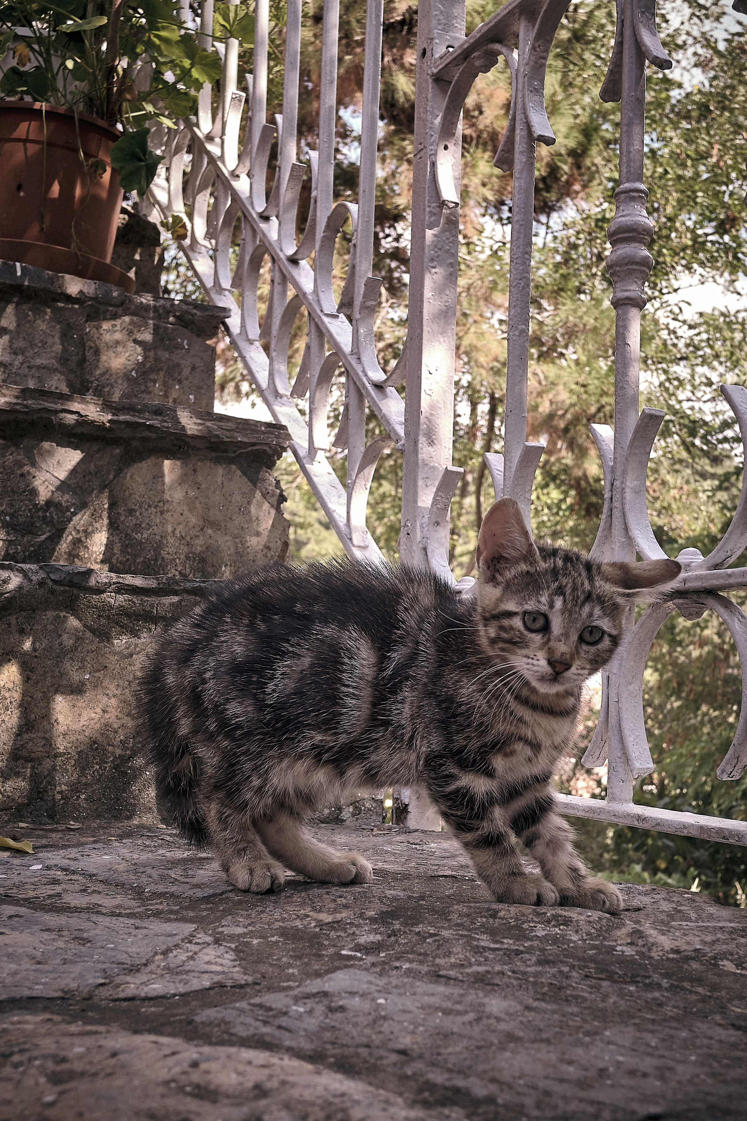 Stambul / winter 2022. Aleksandr Kobtsev