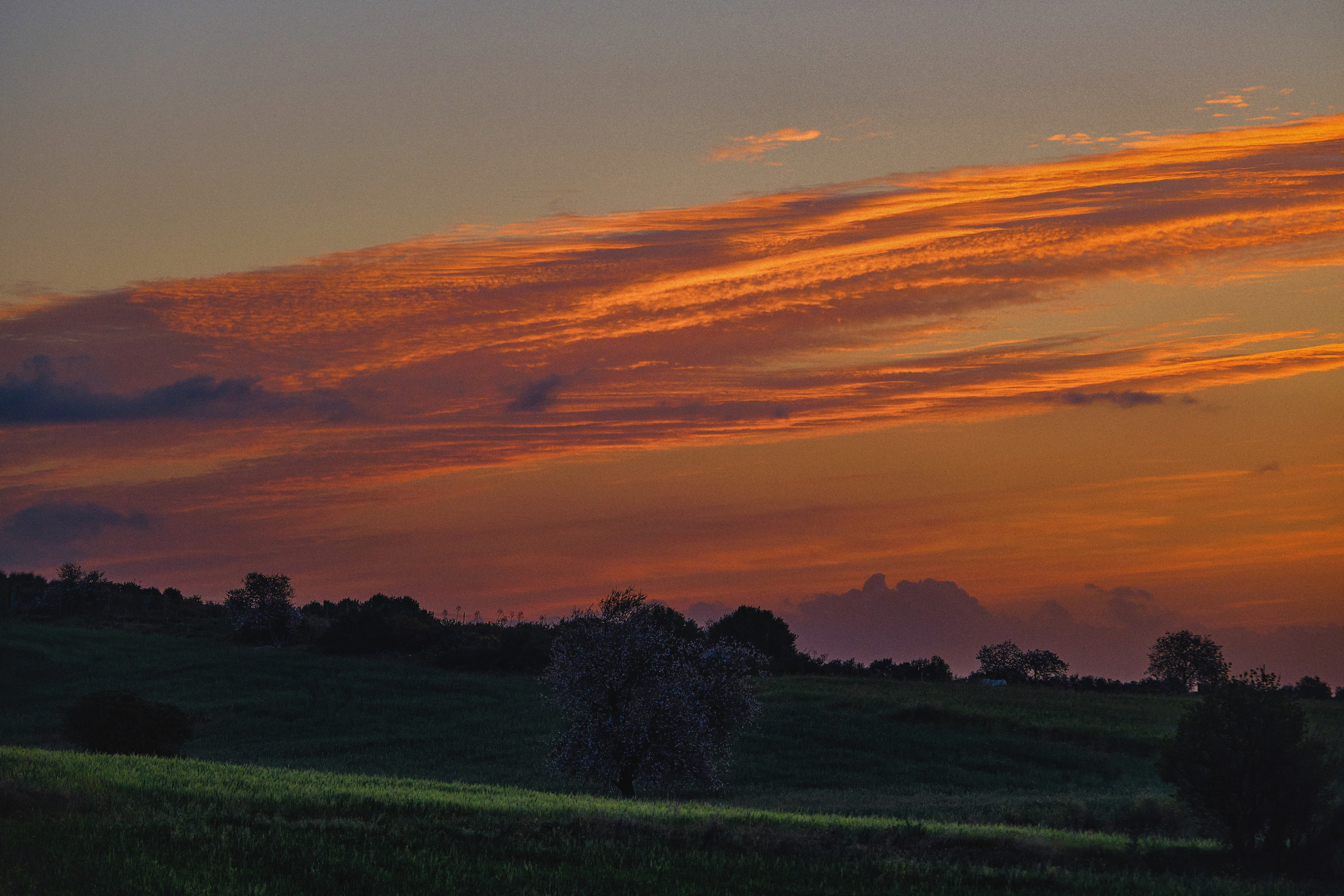 Cyprus 2023 / march. Aleksandr Kobtsev