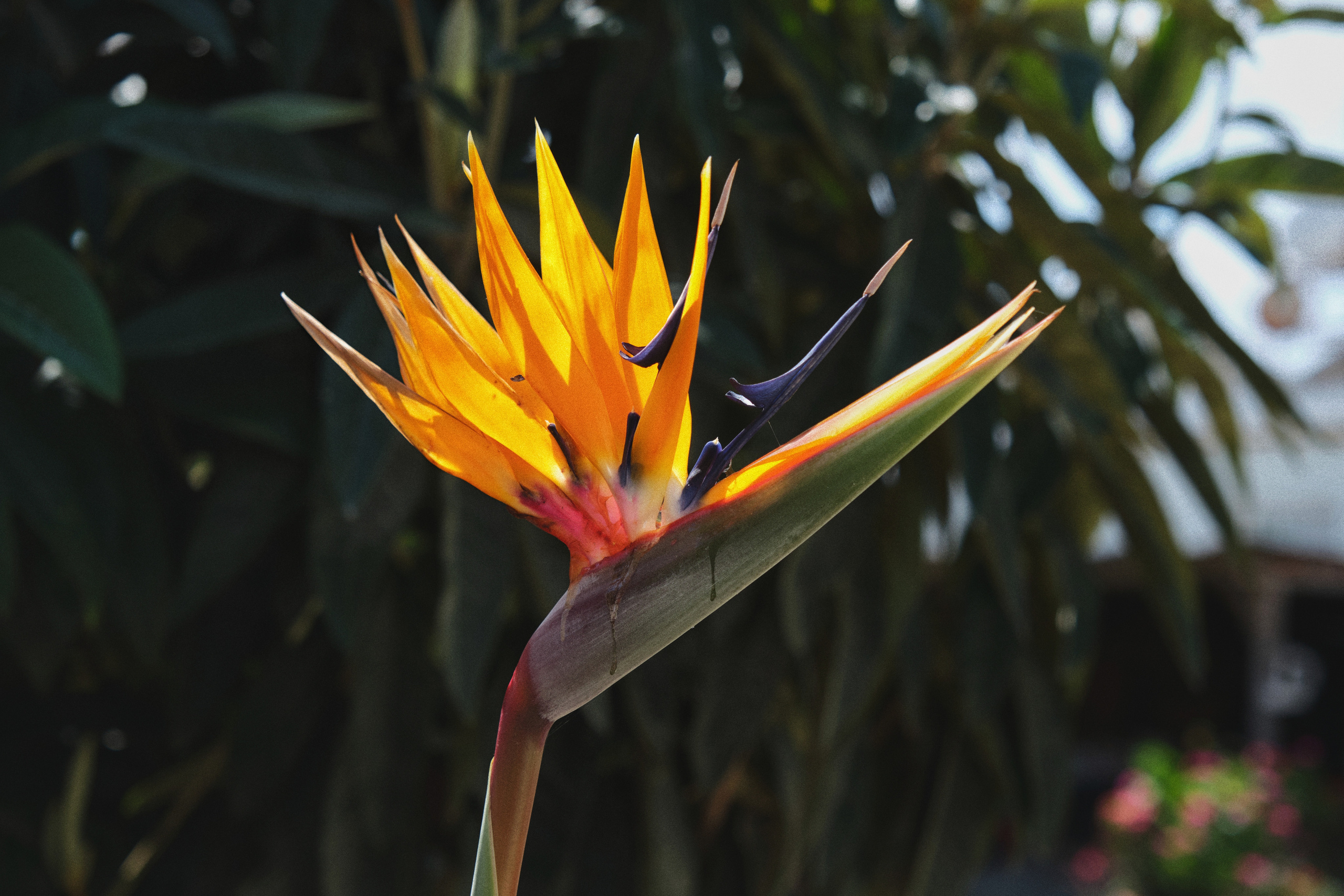 Cyprus 2023 / march. Aleksandr Kobtsev