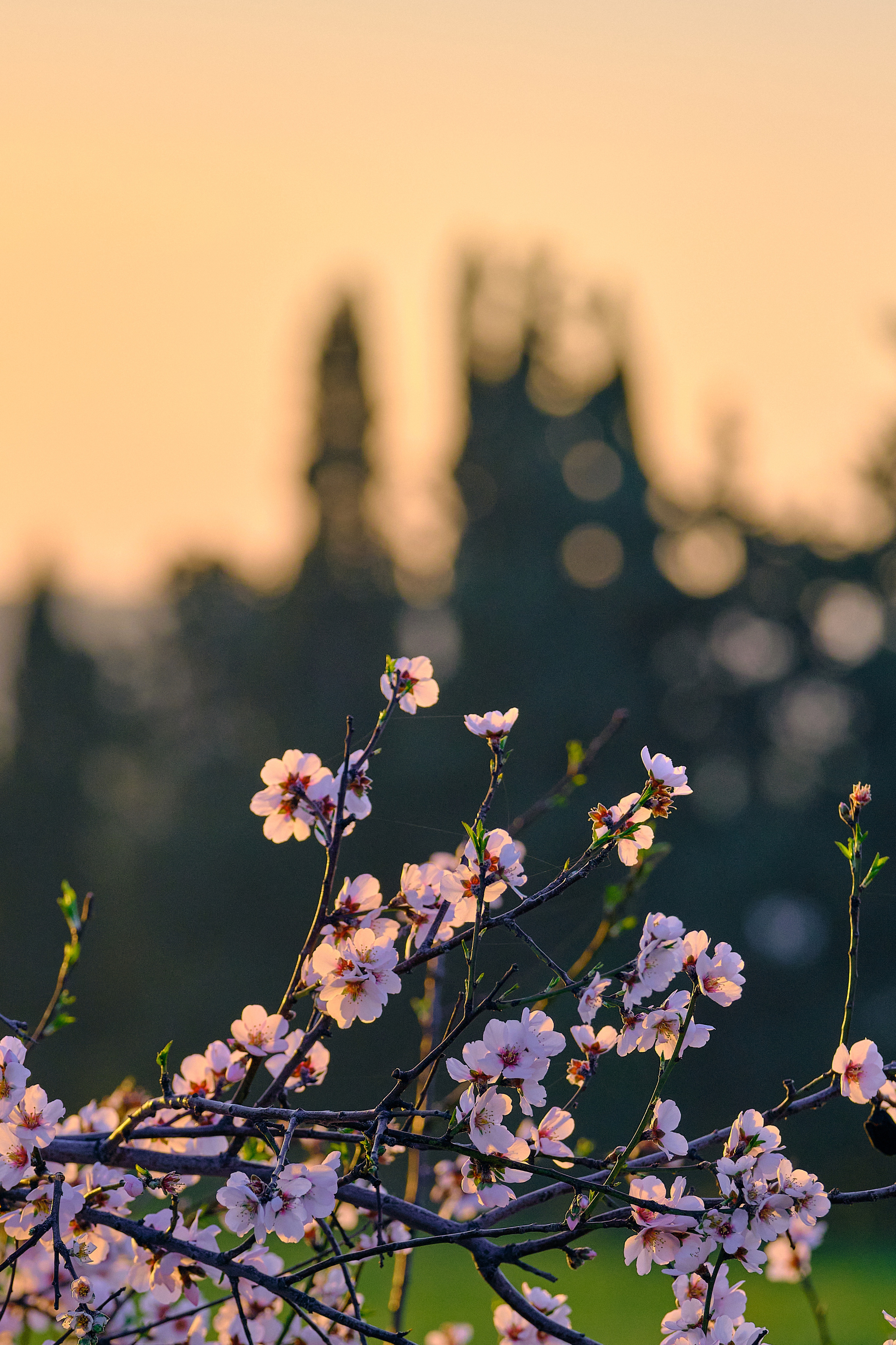 Cyprus 2023 / march. Aleksandr Kobtsev