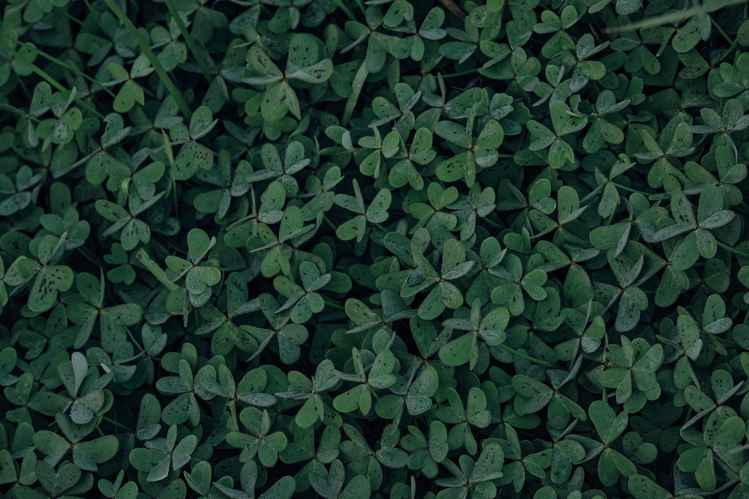 Cyprus 2023 / february. Aleksandr Kobtsev