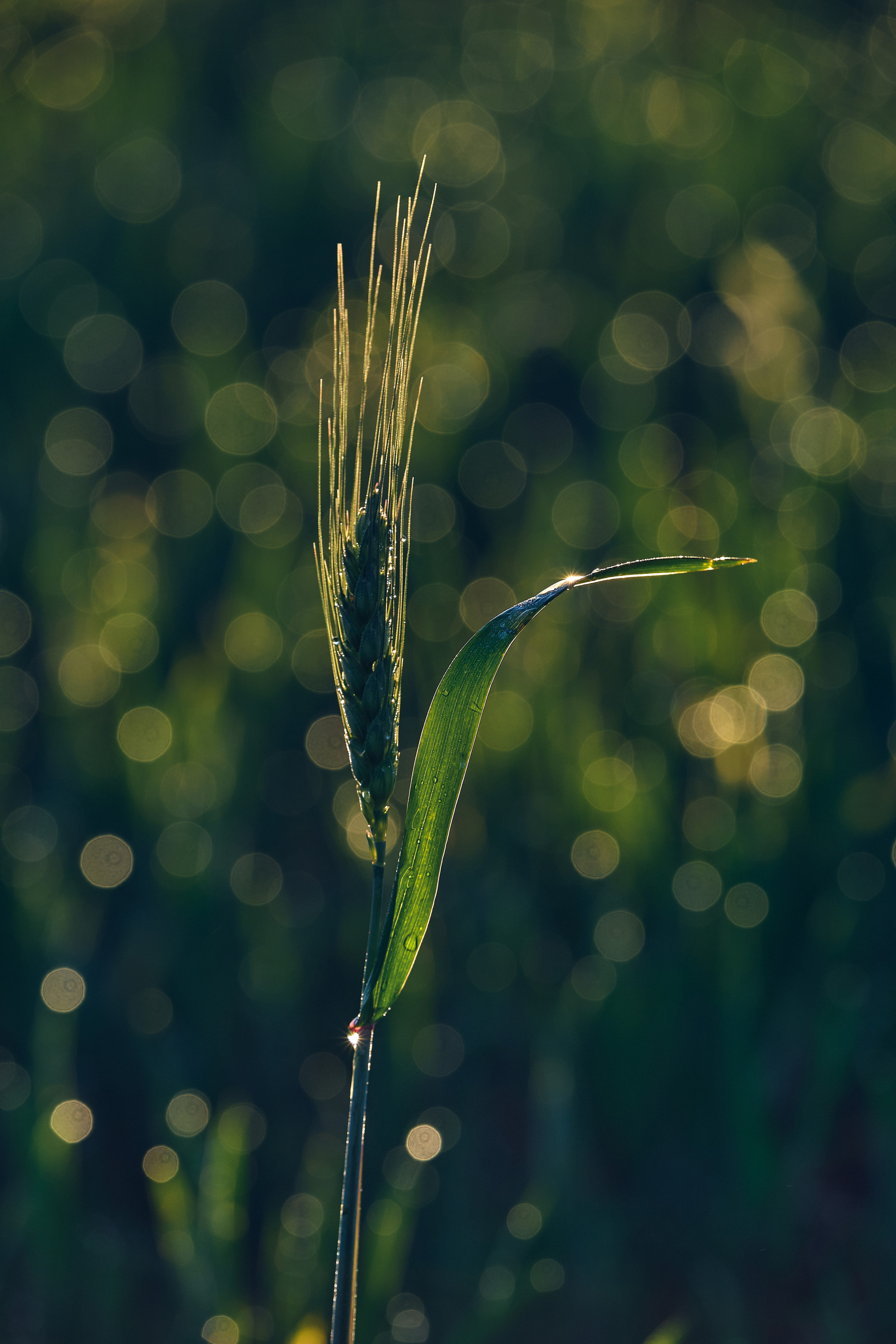 Cyprus 2023 / february. Aleksandr Kobtsev