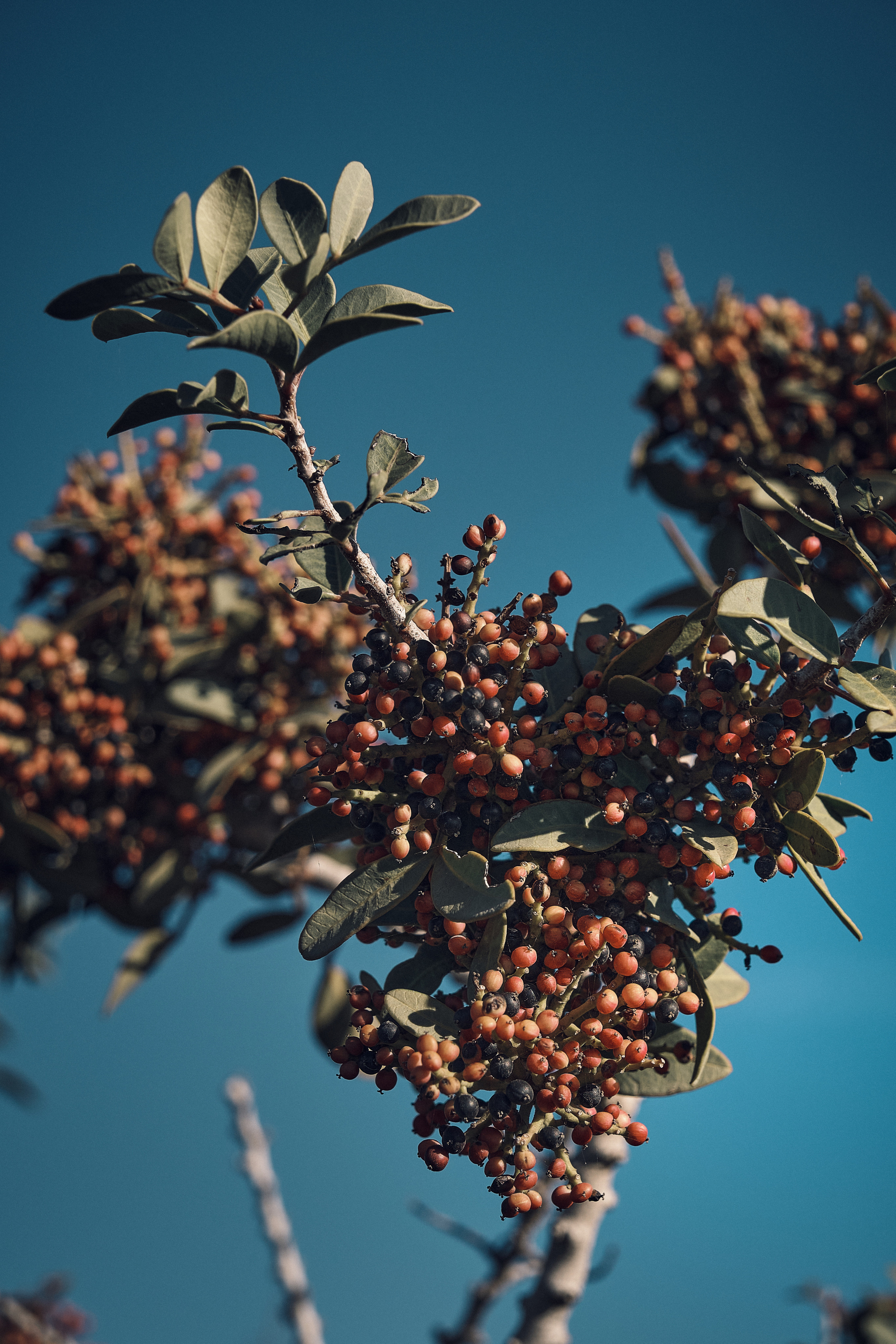 Cyprus 2023 / february. Aleksandr Kobtsev