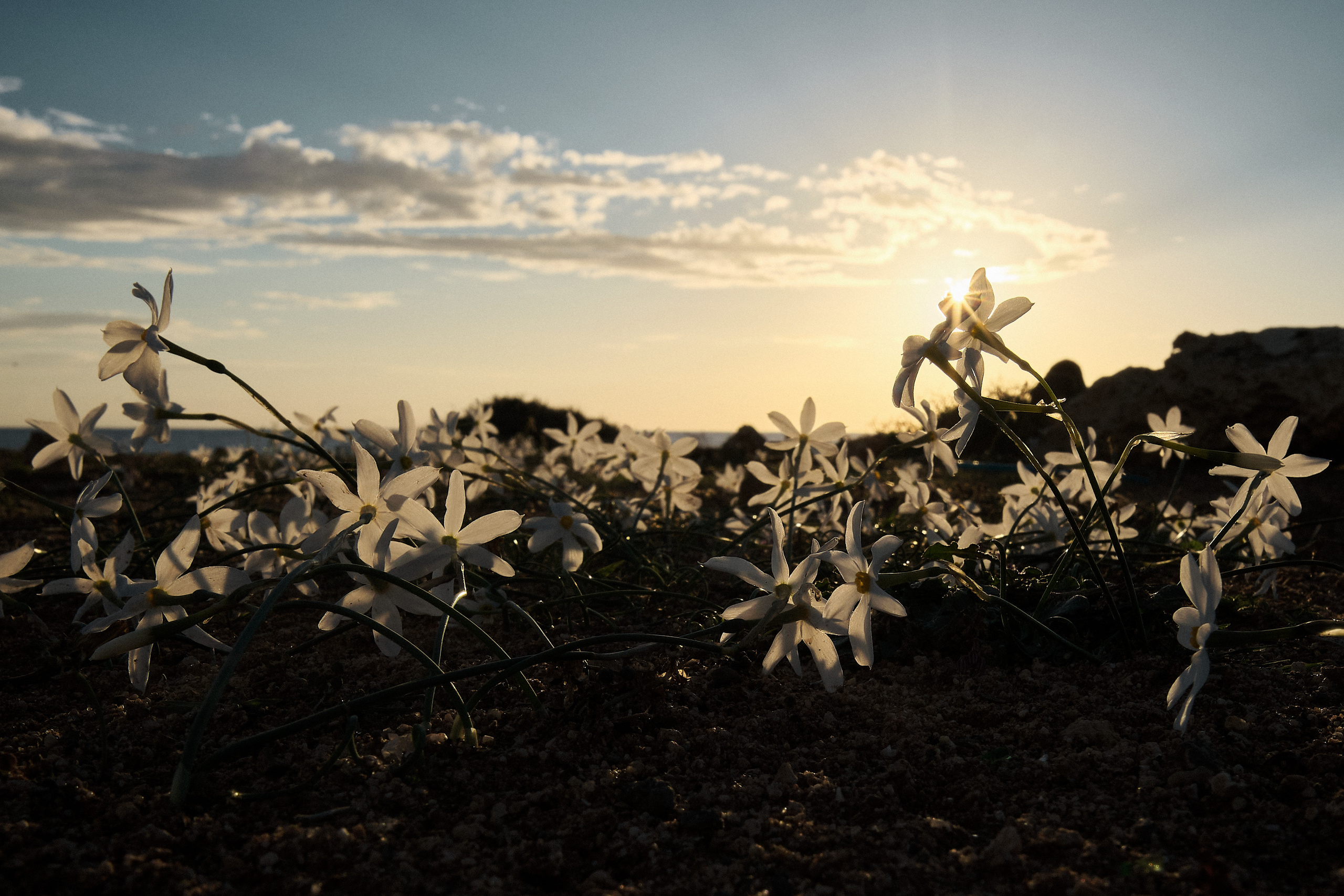 Northern Cyprus >2022. Aleksandr Kobtsev