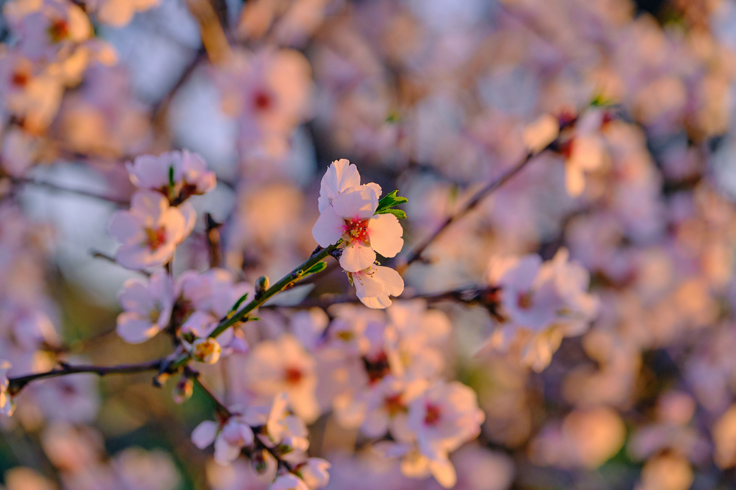 Cyprus 2023 / march. Aleksandr Kobtsev