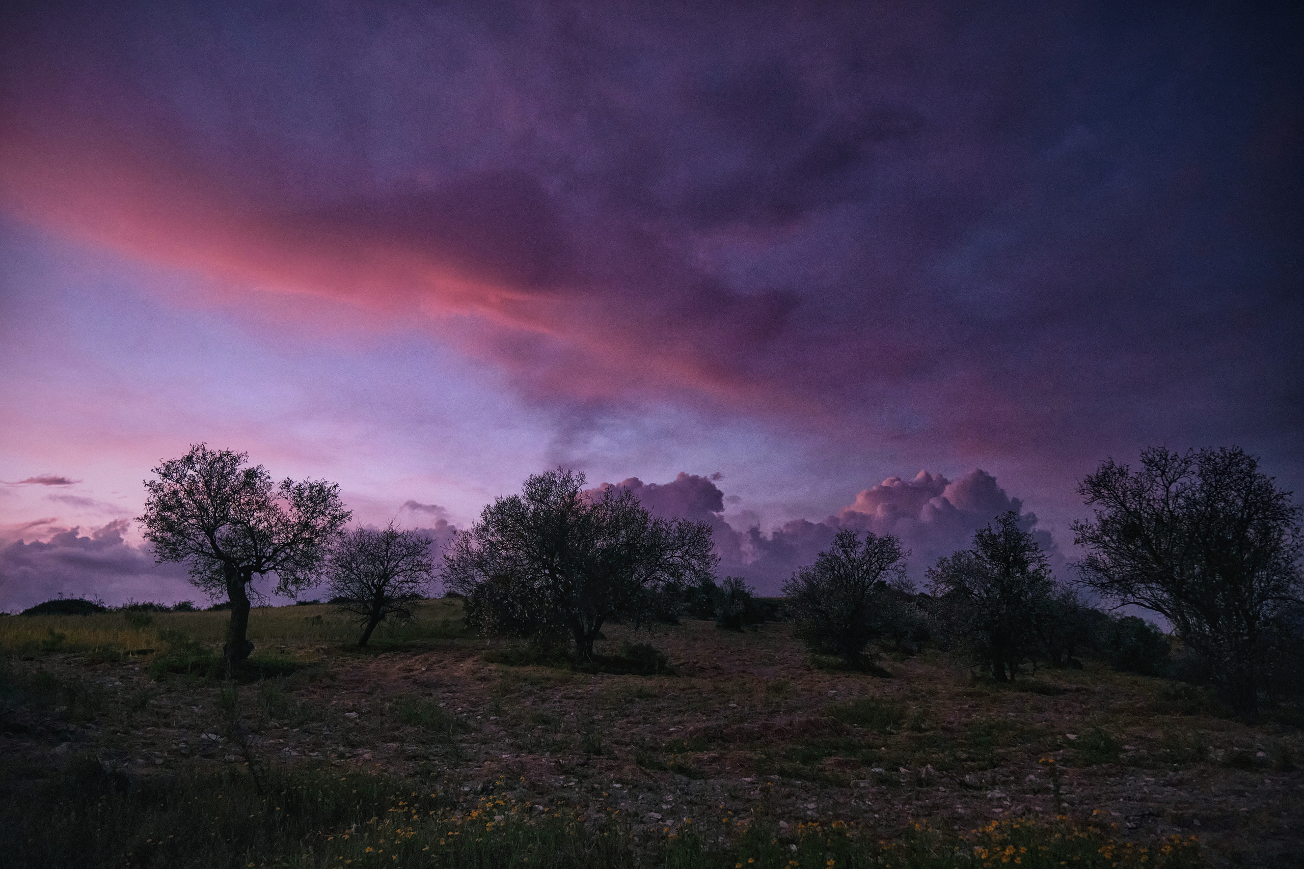 Cyprus 2023 / march. Aleksandr Kobtsev