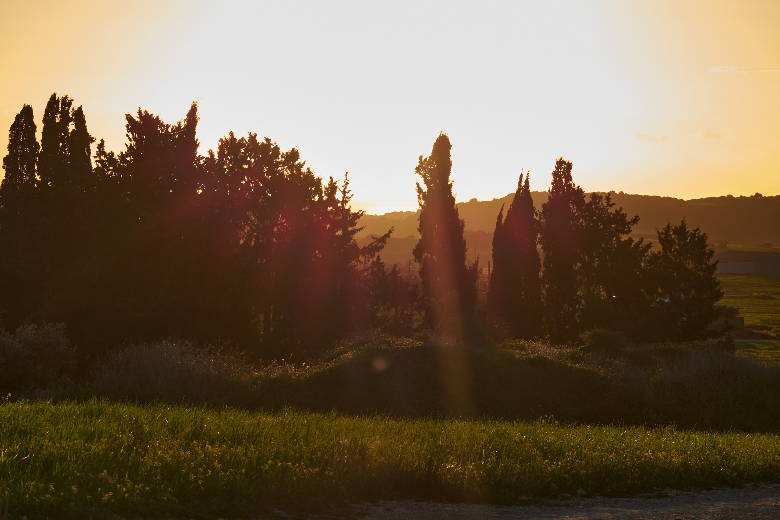 Cyprus 2023 / february. Aleksandr Kobtsev
