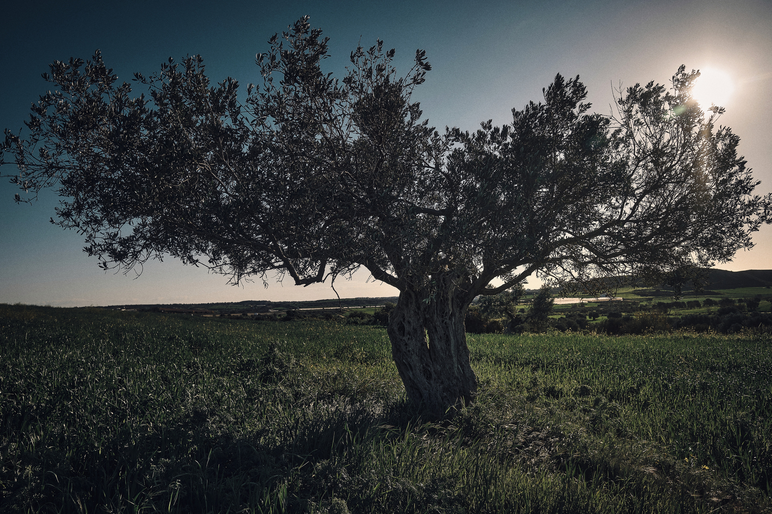 Cyprus 2023 / february. Aleksandr Kobtsev