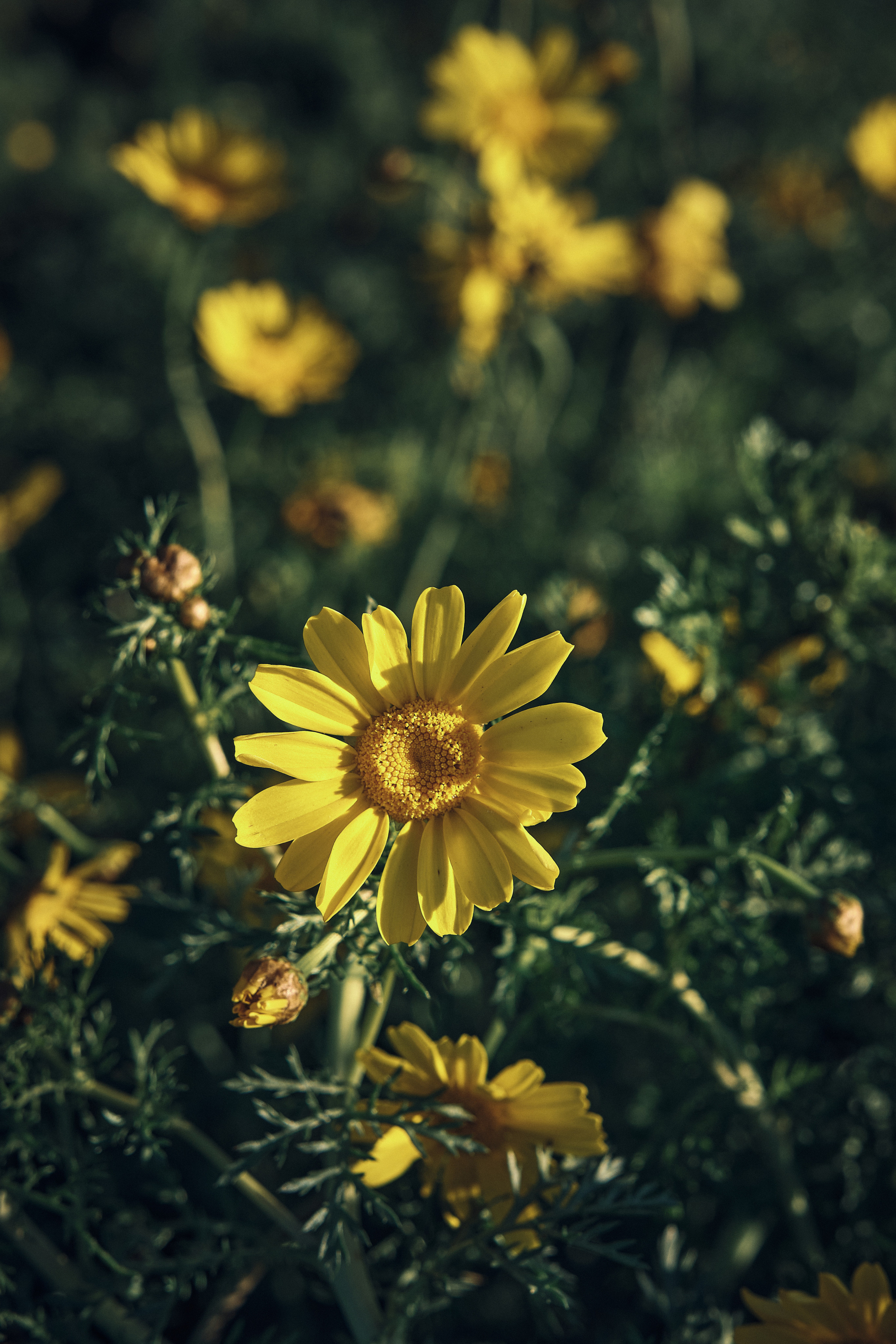 Cyprus 2023 / february. Aleksandr Kobtsev