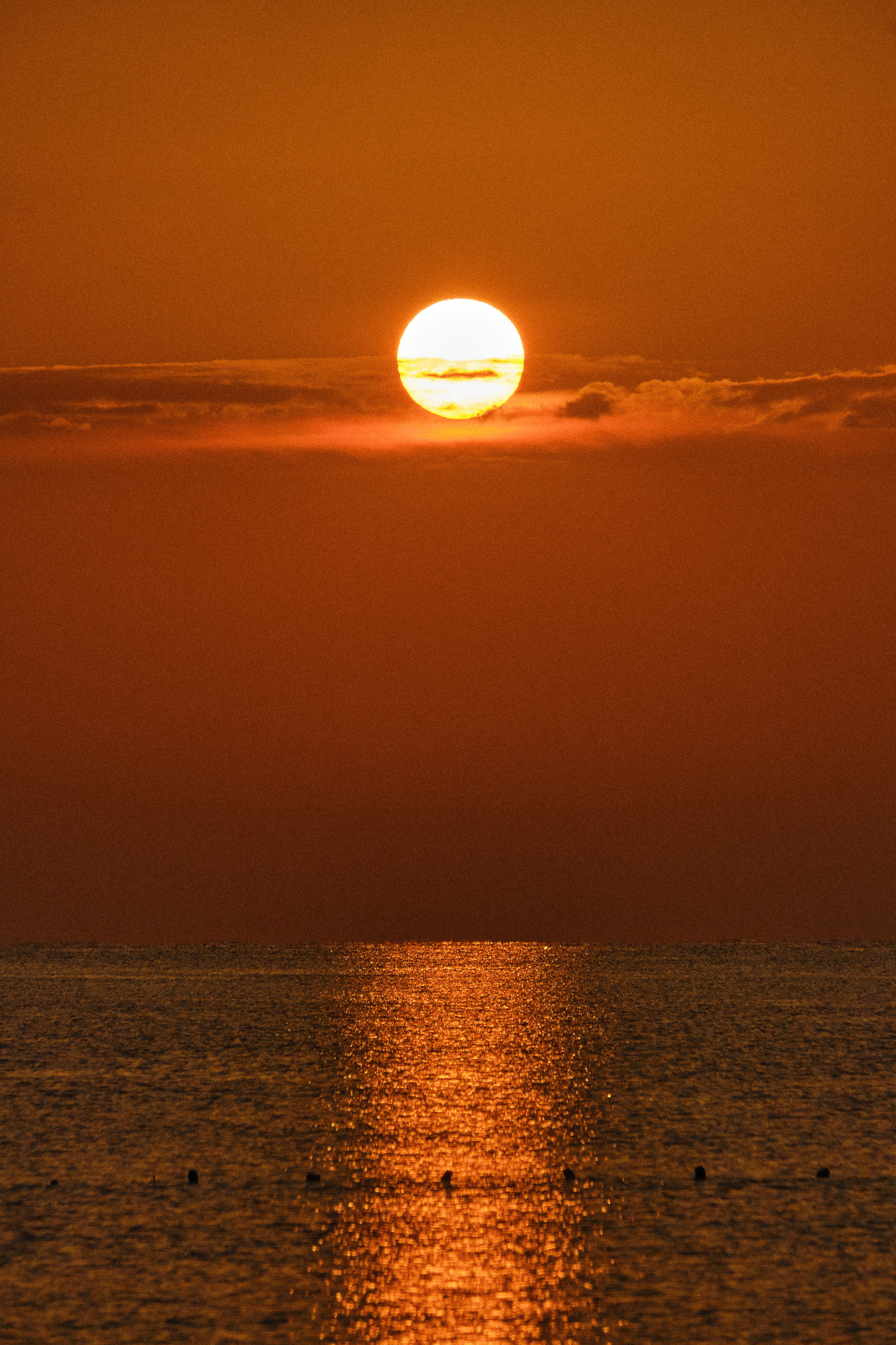 Northern Cyprus >2022. Aleksandr Kobtsev