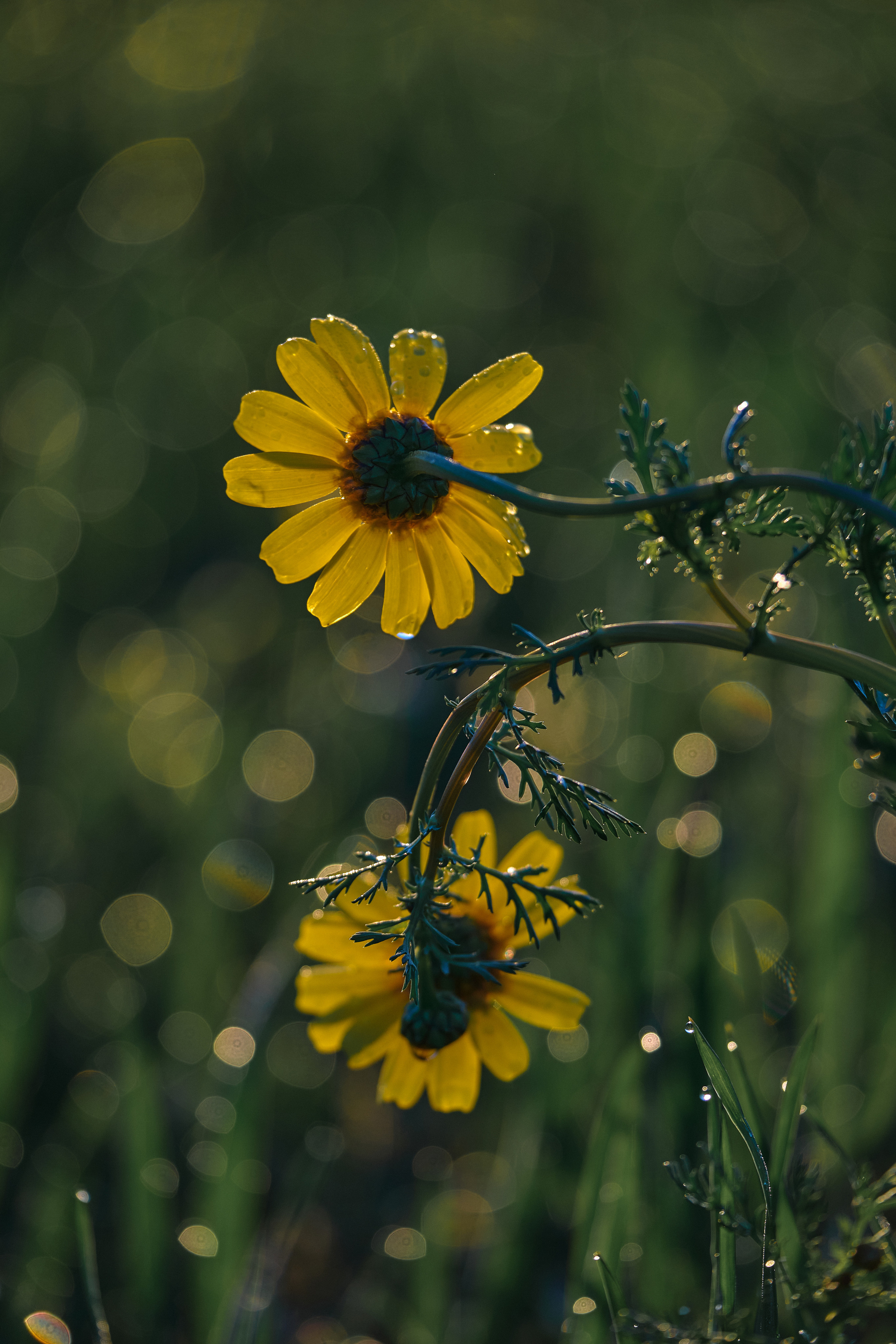 Cyprus 2023 / february. Aleksandr Kobtsev