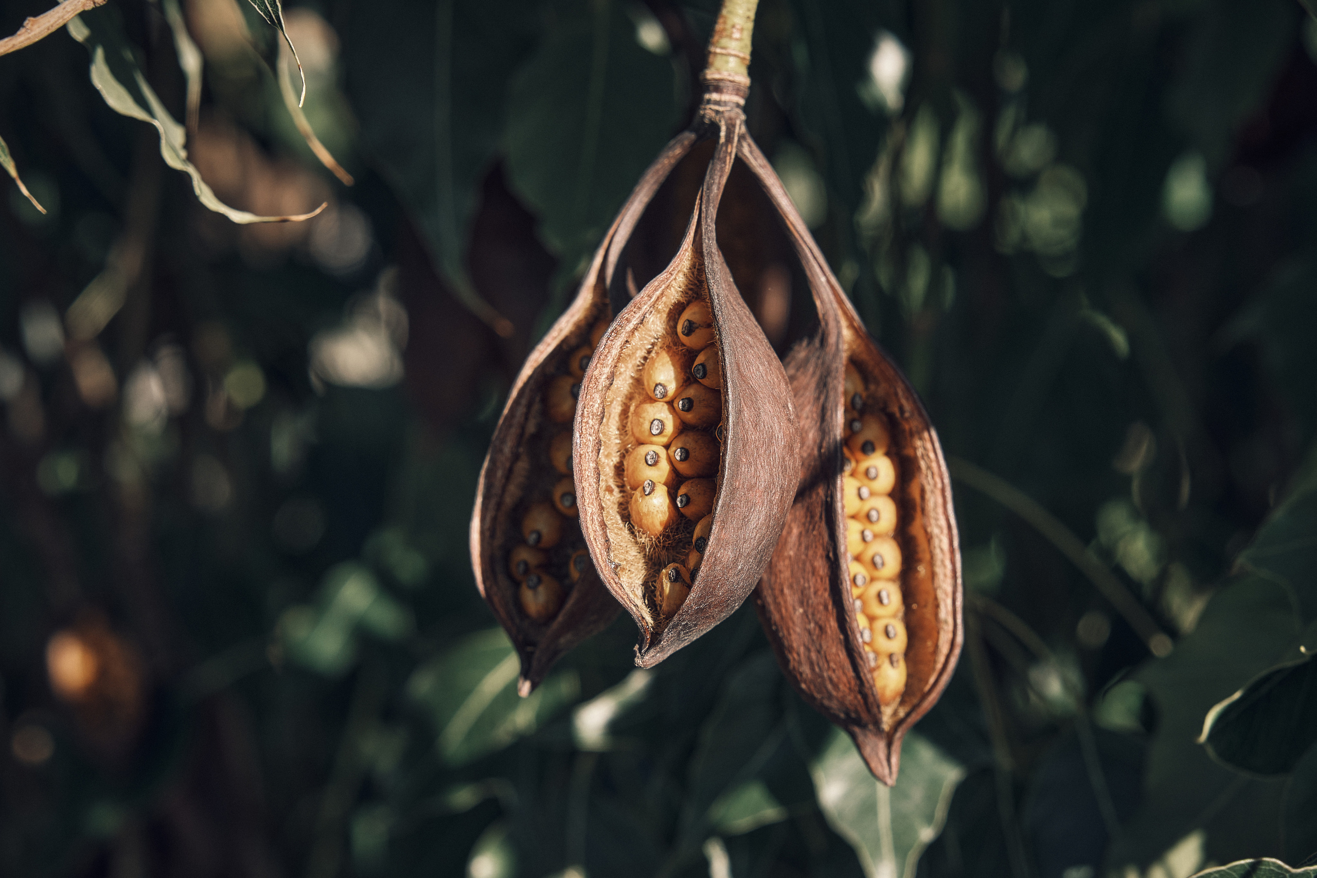 Cyprus 2023 / february. Aleksandr Kobtsev