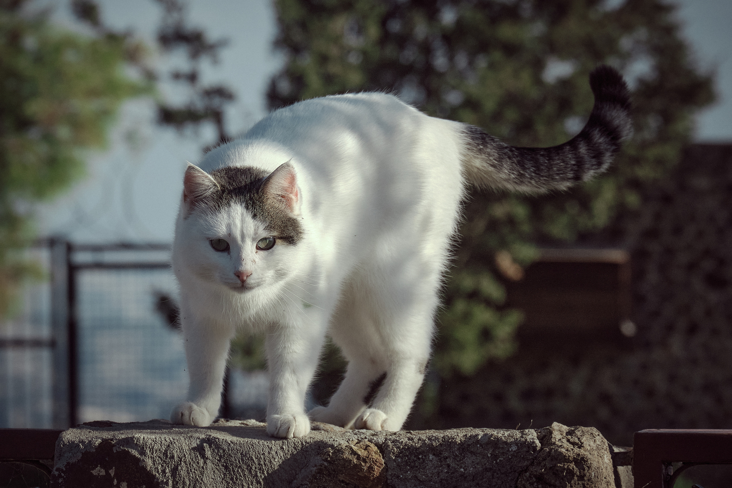 CYPRUS> > > > 2022\4. Aleksandr Kobtsev