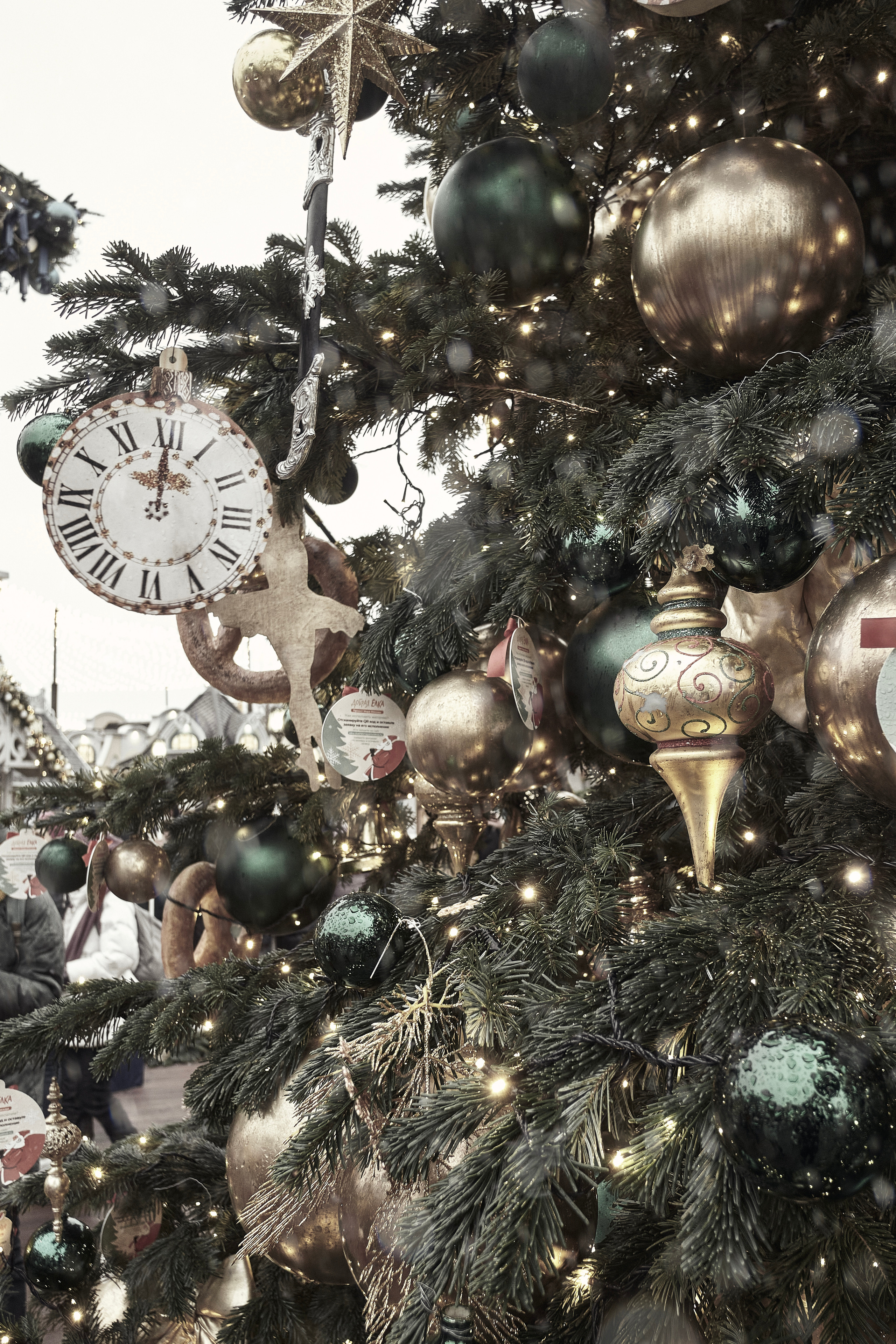 Winter 22/23. Aleksandr Kobtsev