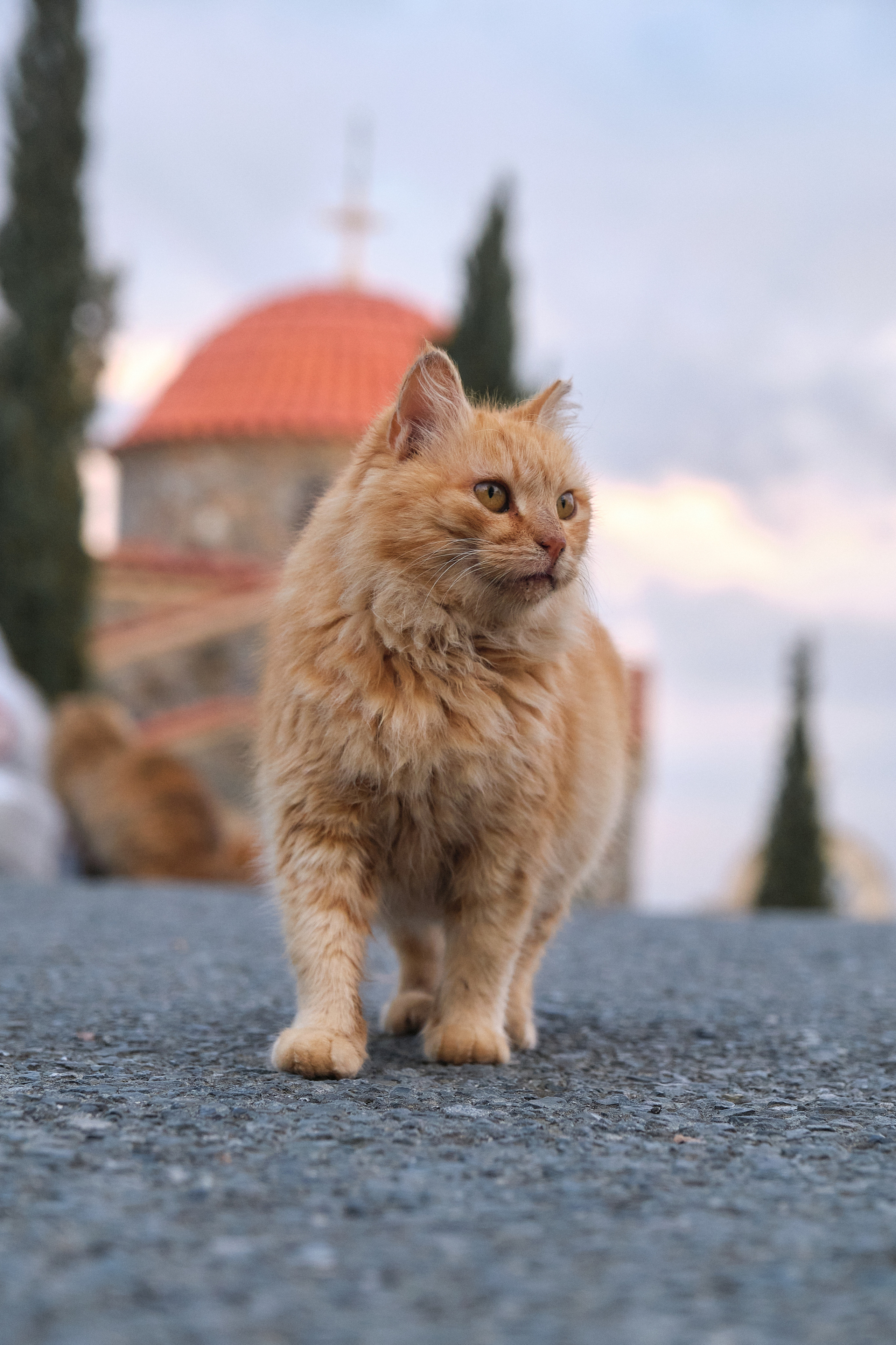 CYPRUS> > > > 2022\4. Aleksandr Kobtsev