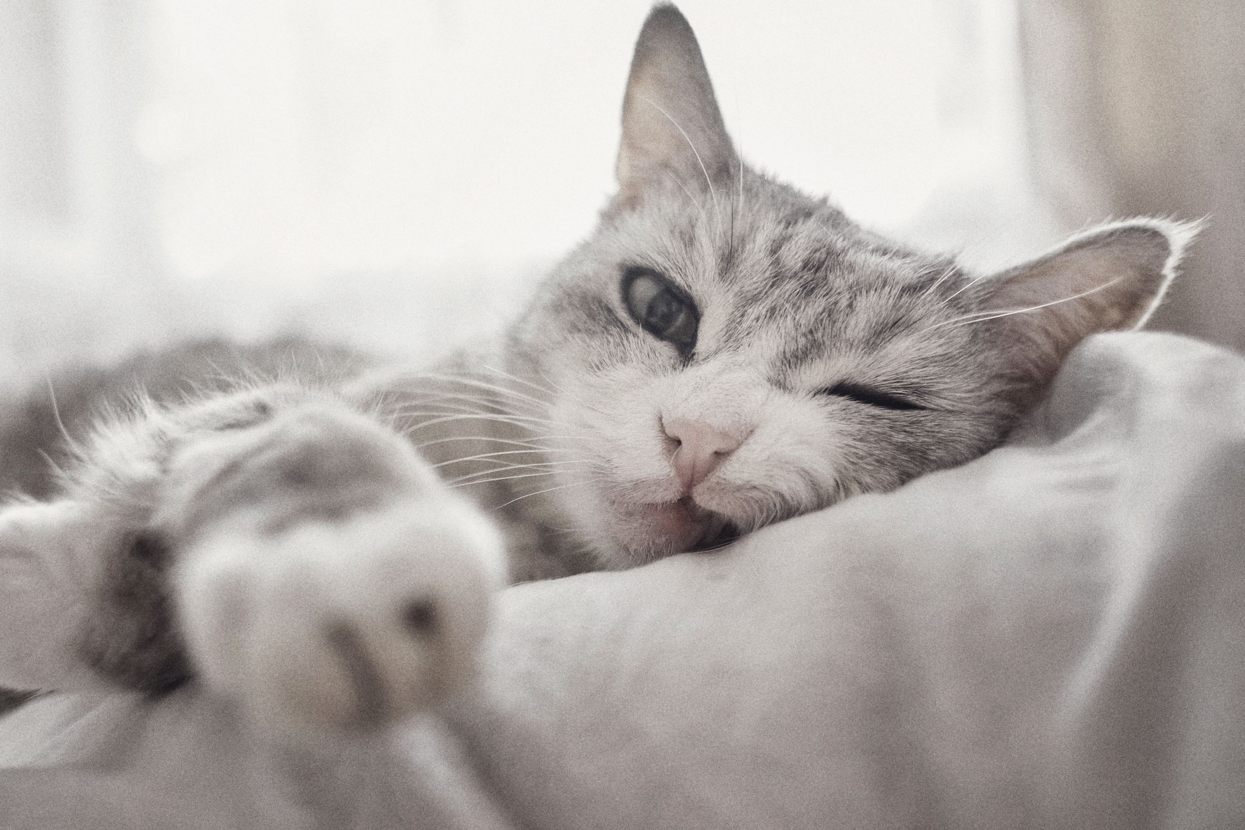 Winter 22/23. Aleksandr Kobtsev