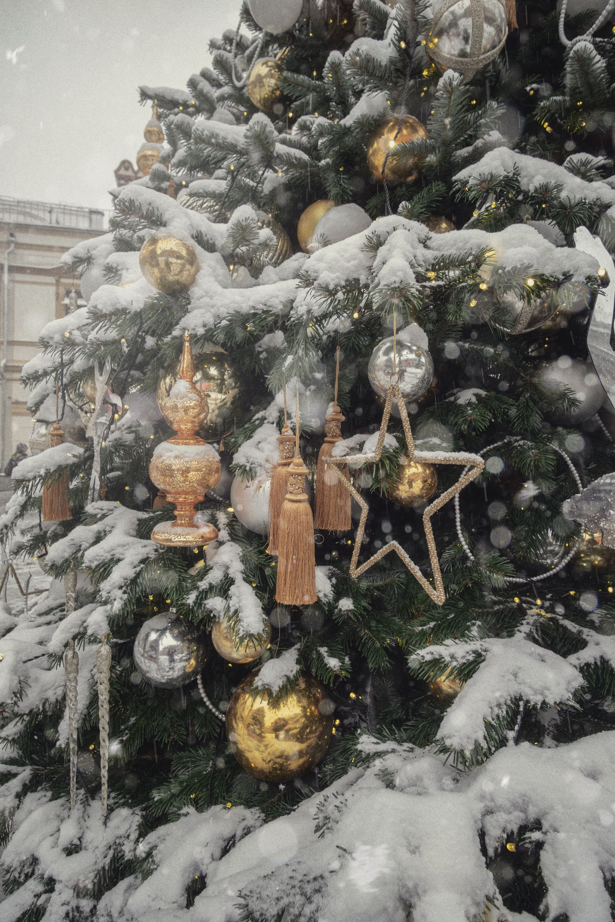 Winter 22/23. Aleksandr Kobtsev