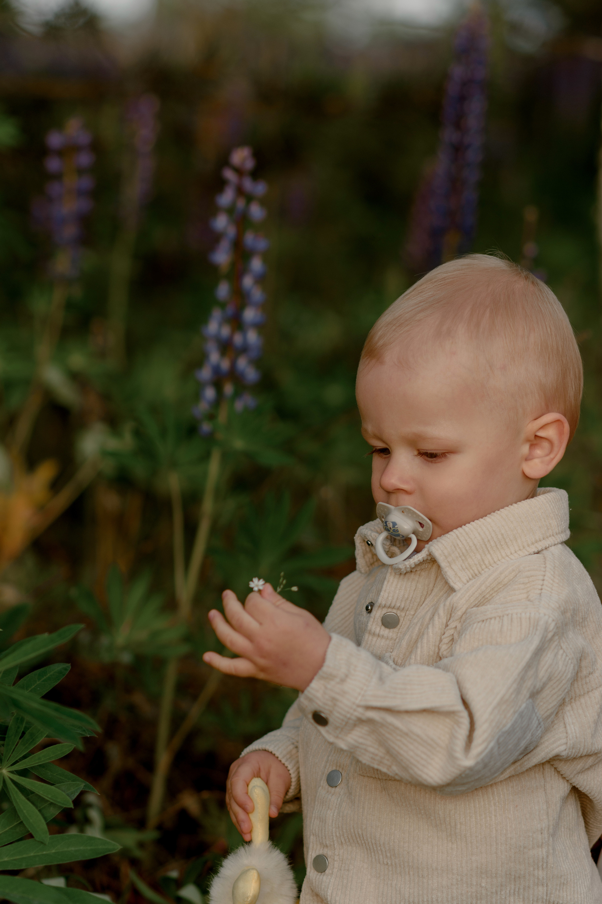 Люпиновый вечер. Свадебный и семейный фотограф в Смоленске и Ярцево Чурнасова Мария