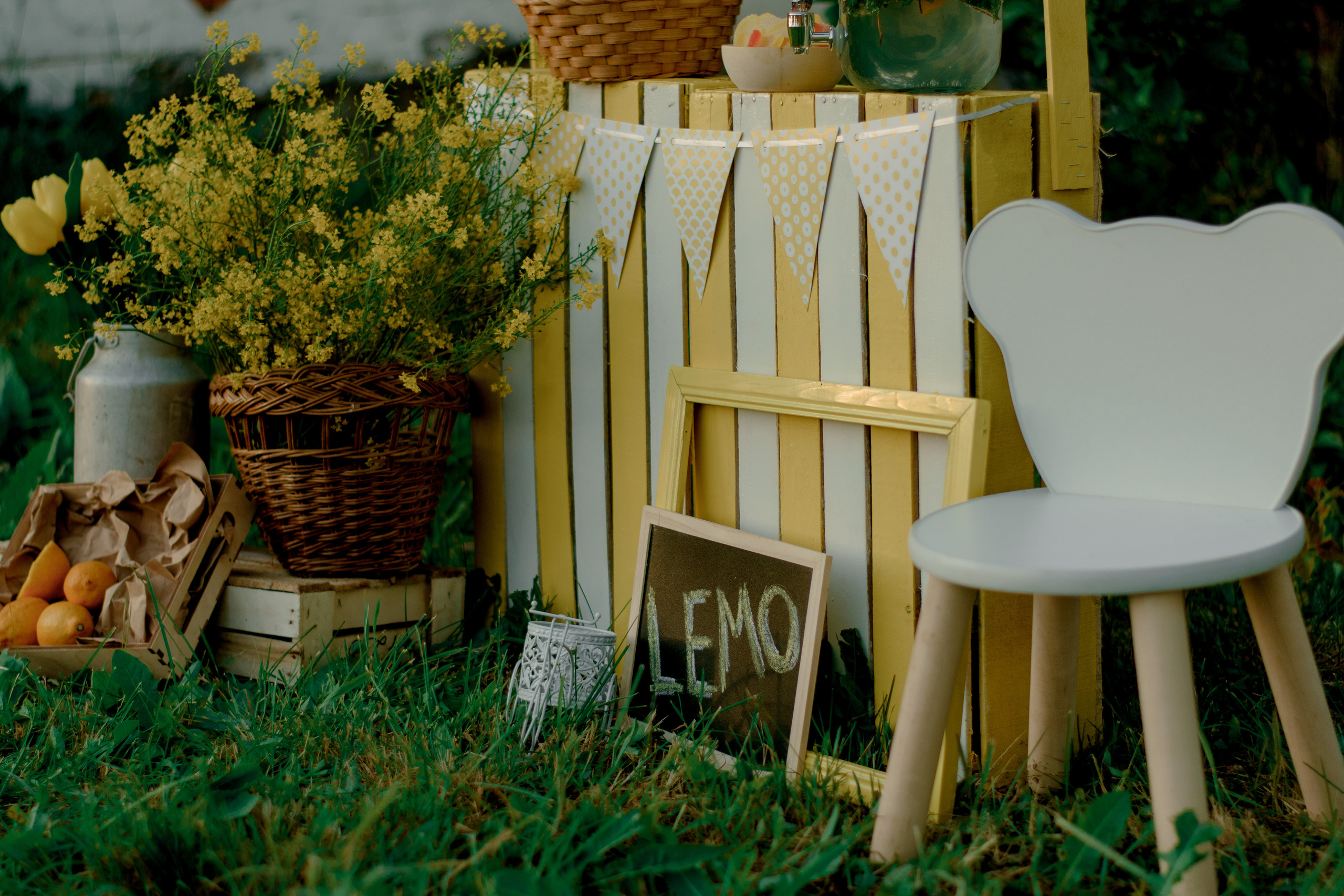 Лимонадный фотопроект. Свадебный и семейный фотограф в Смоленске и Ярцево Чурнасова Мария