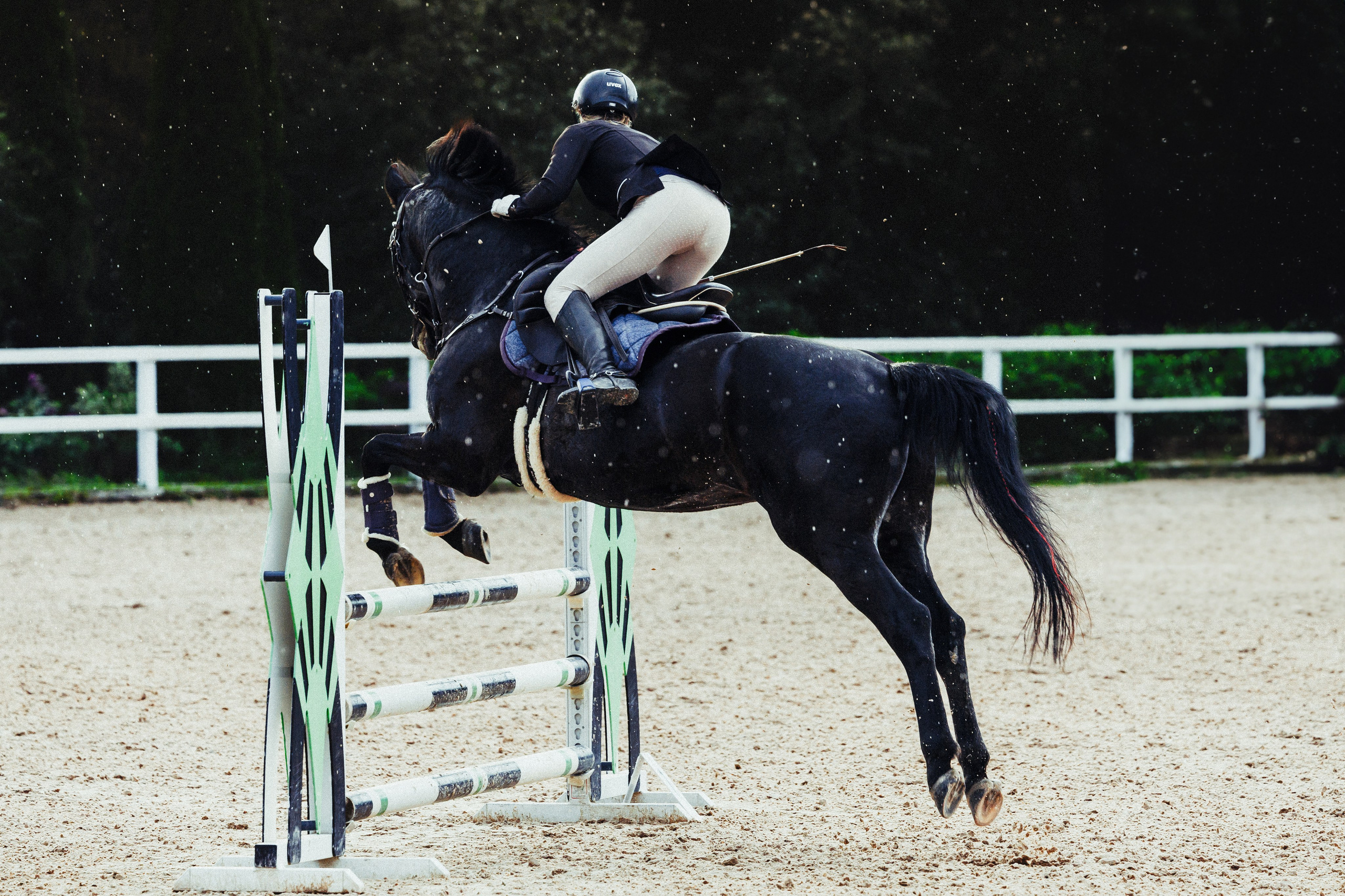 Соревнования. Спортивный фотограф Санкт-Петербург