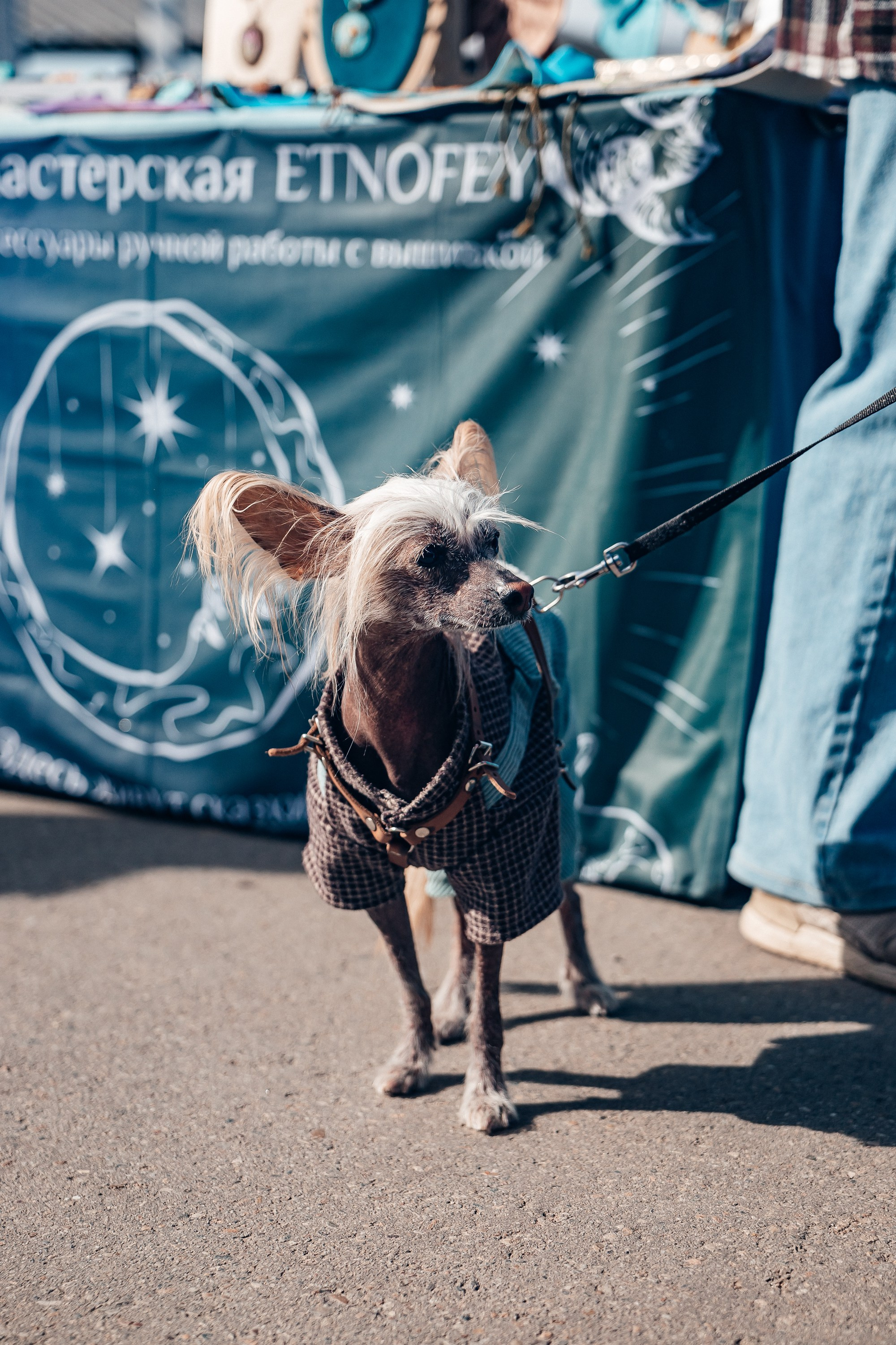 Фестиваль «Маркет на Ангаре». Фотограф в Иркутске Настя Гаськова