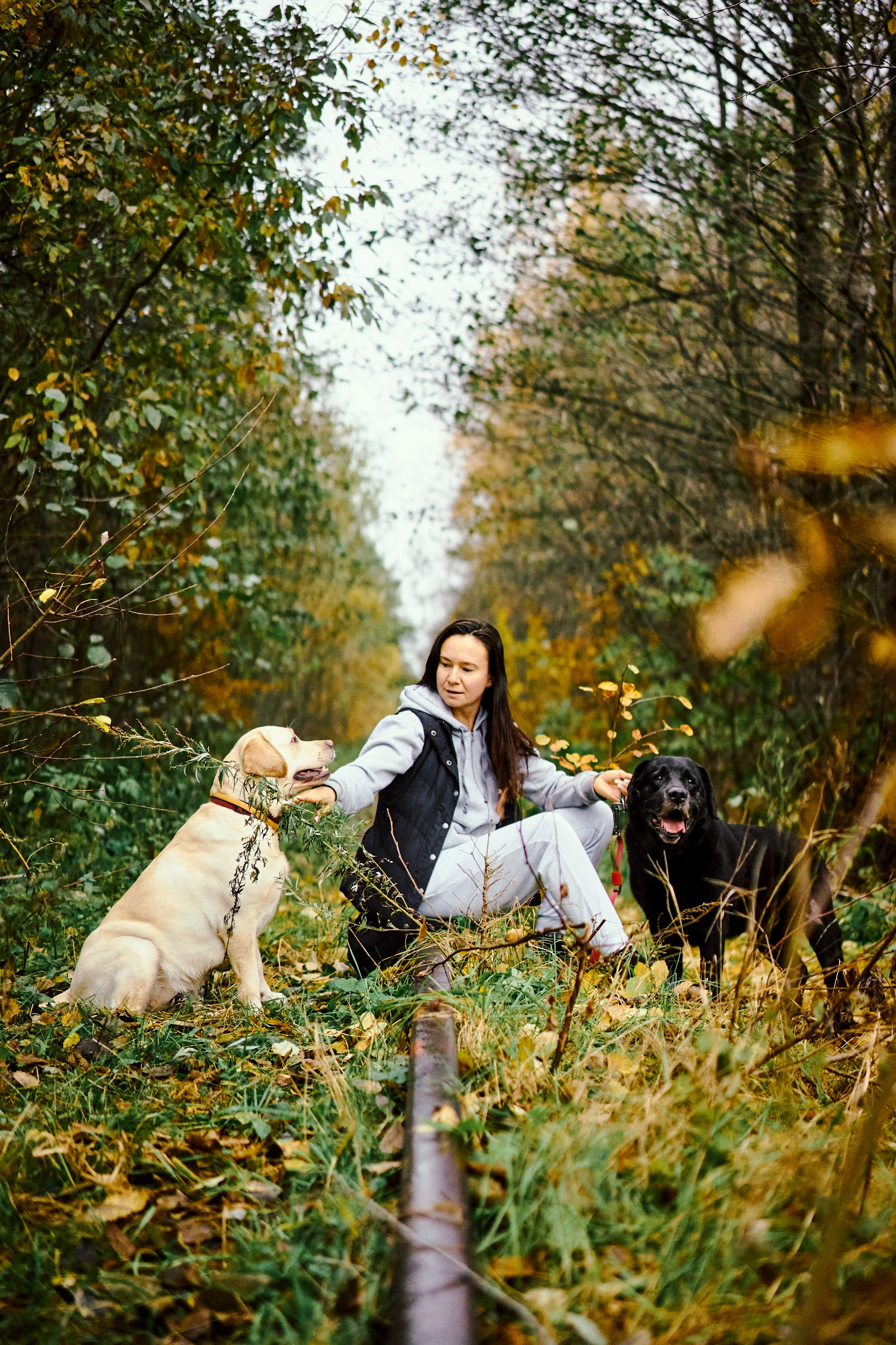 Bell and Black. Vutitsa