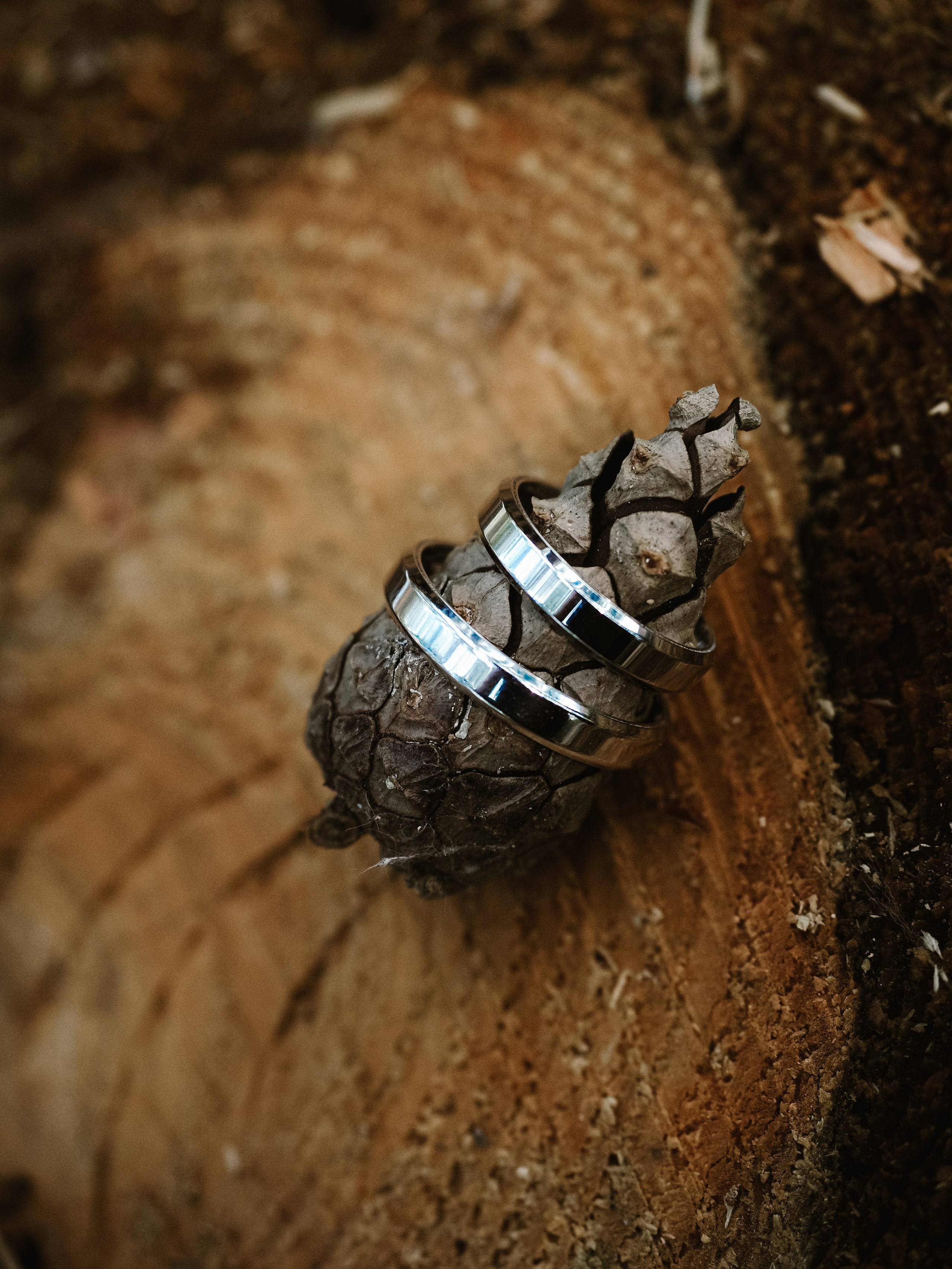 Даша и Максим. Фотограф Рязань. Семейный Свадебный фотограф