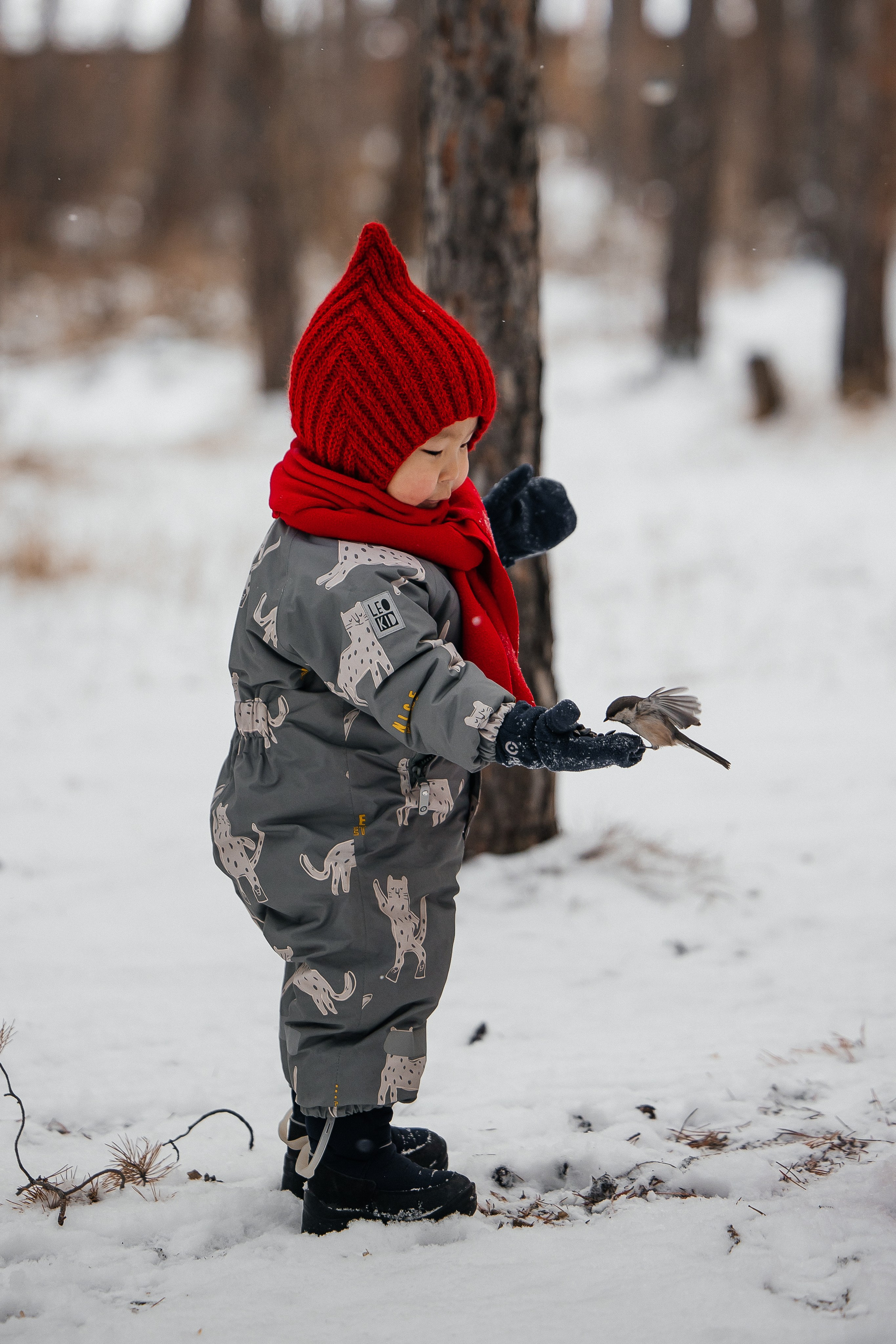 МАЛЫШИ. Саргылана Афанасьева