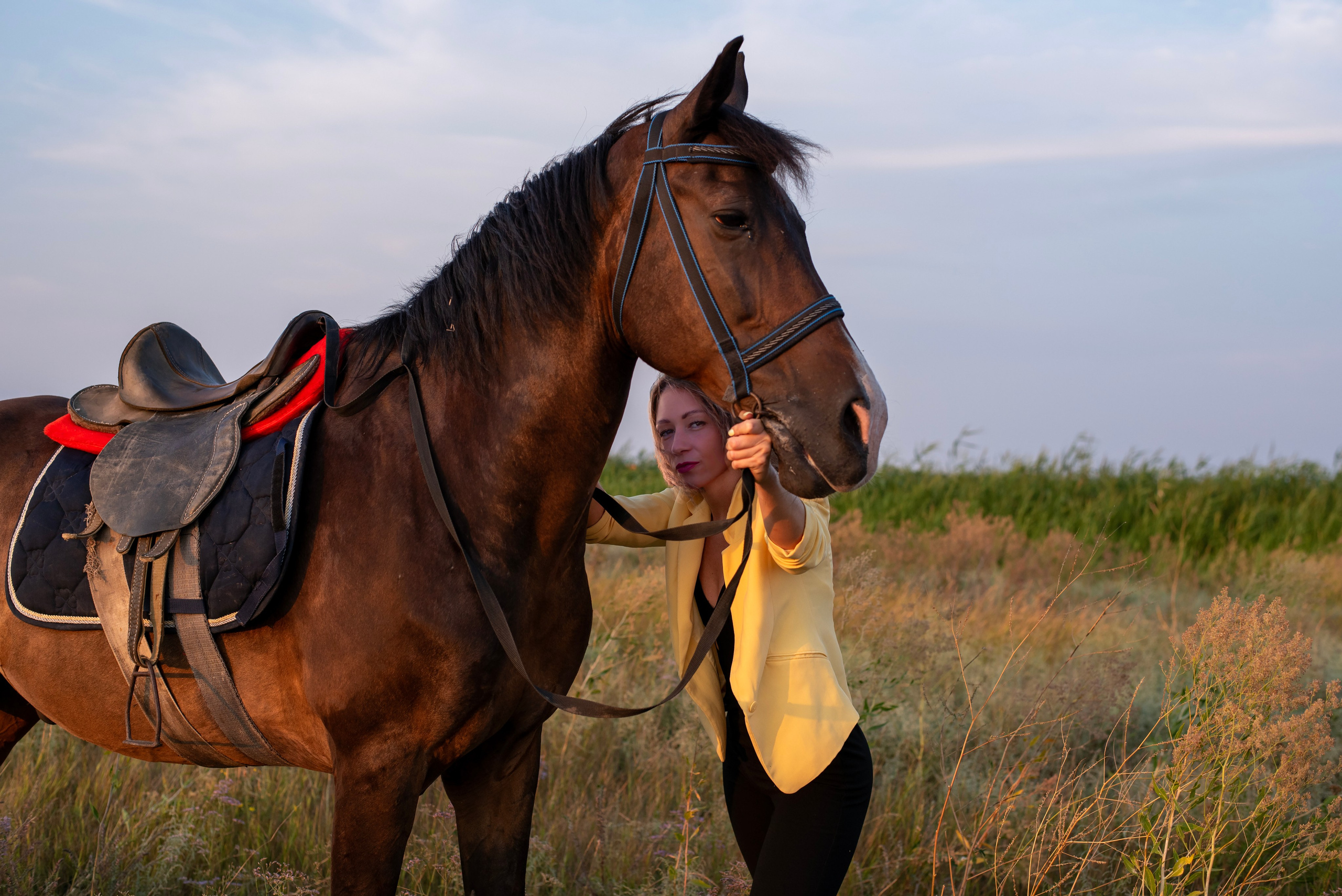 Леди и лошадь. Главная