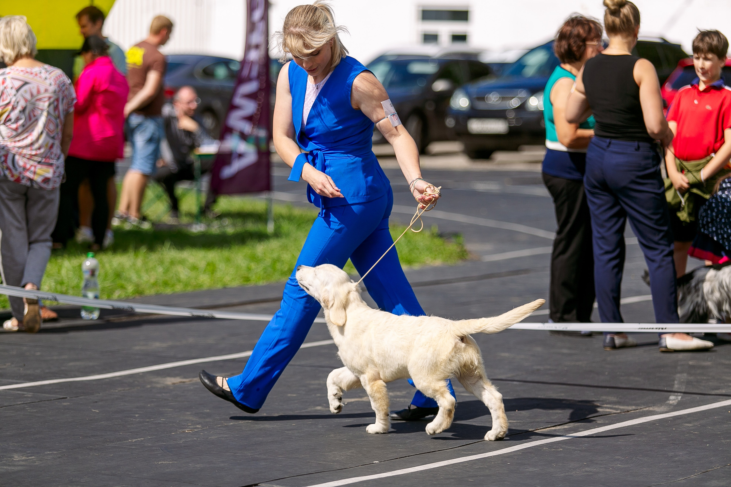 Окунулась вновь в атмосферу выставки…. Школьный фотограф в Туле Светлана Привезенцева